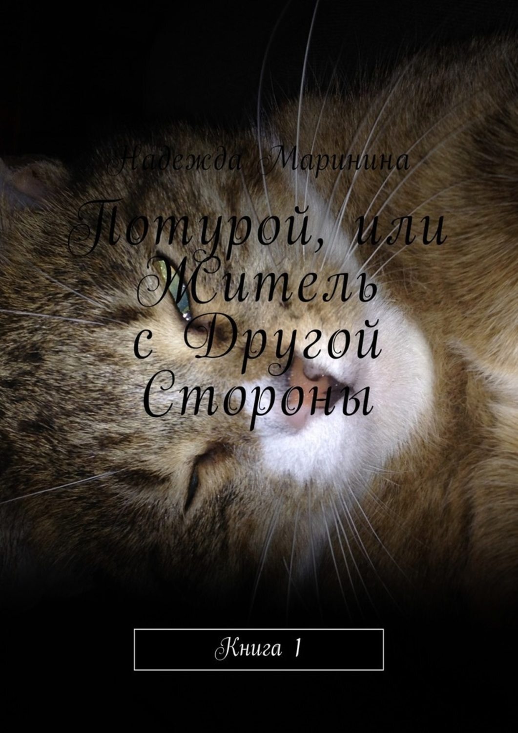 Обложка книги «Потурой, или Житель с Другой Стороны. Книга 1»