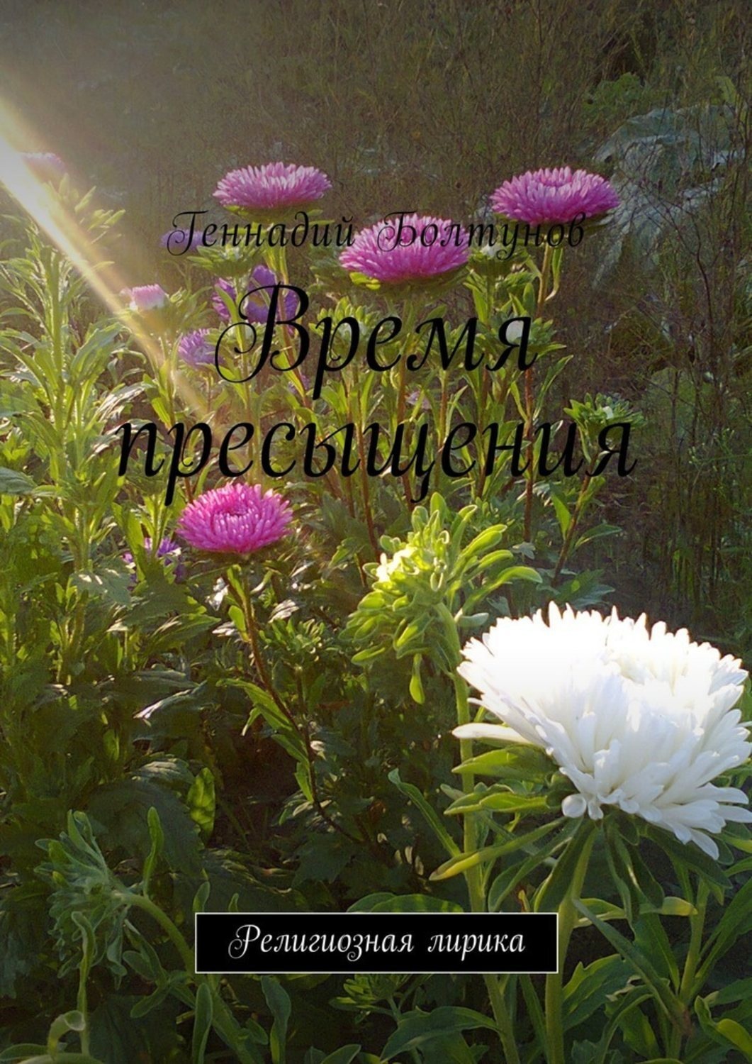 Обложка книги «Время пресыщения. Религиозная лирика»