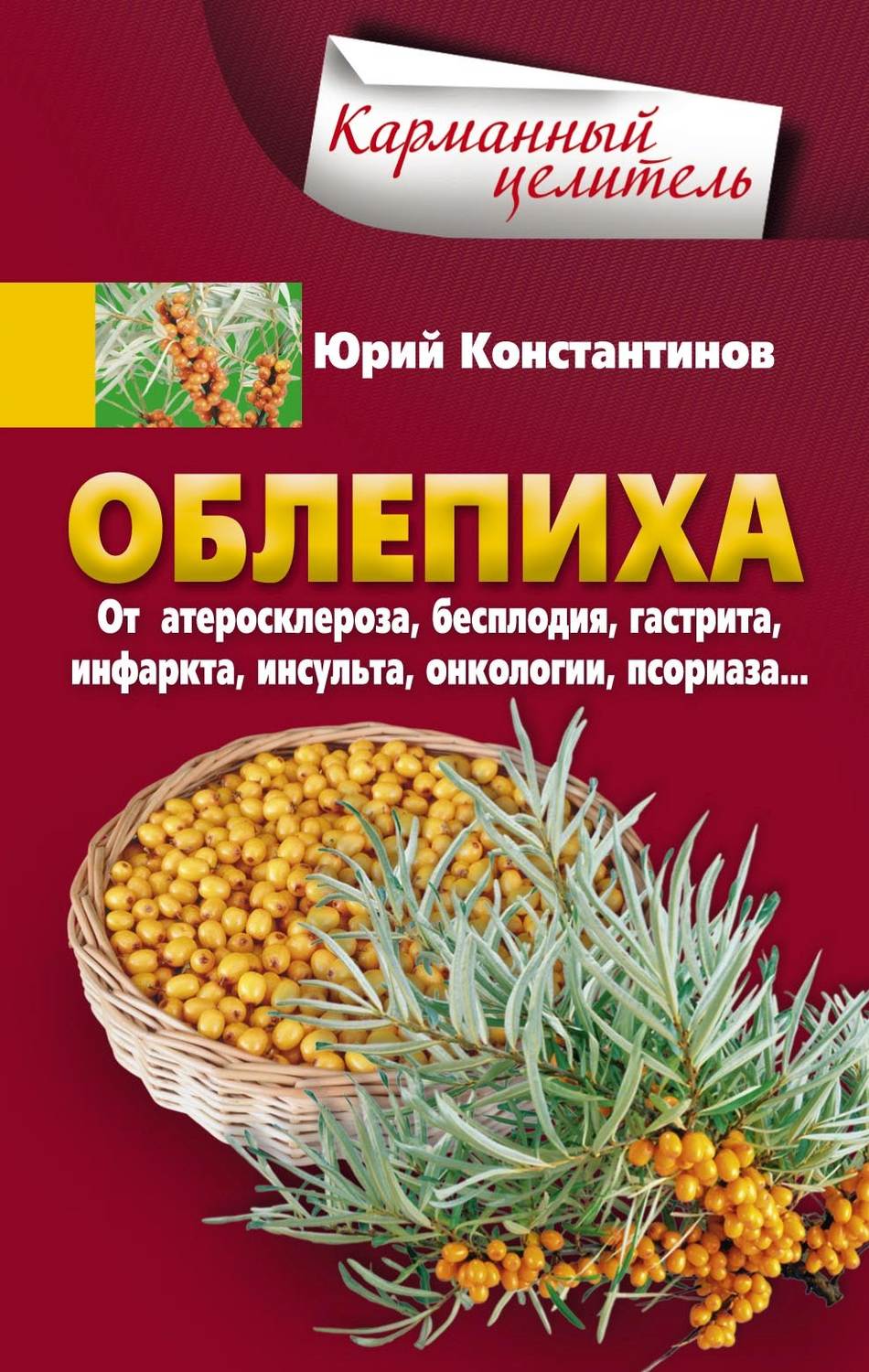 Обложка книги «Облепиха от атеросклероза, бесплодия, гастрита, инфаркта, инсульта, онкологии, псориаза…»