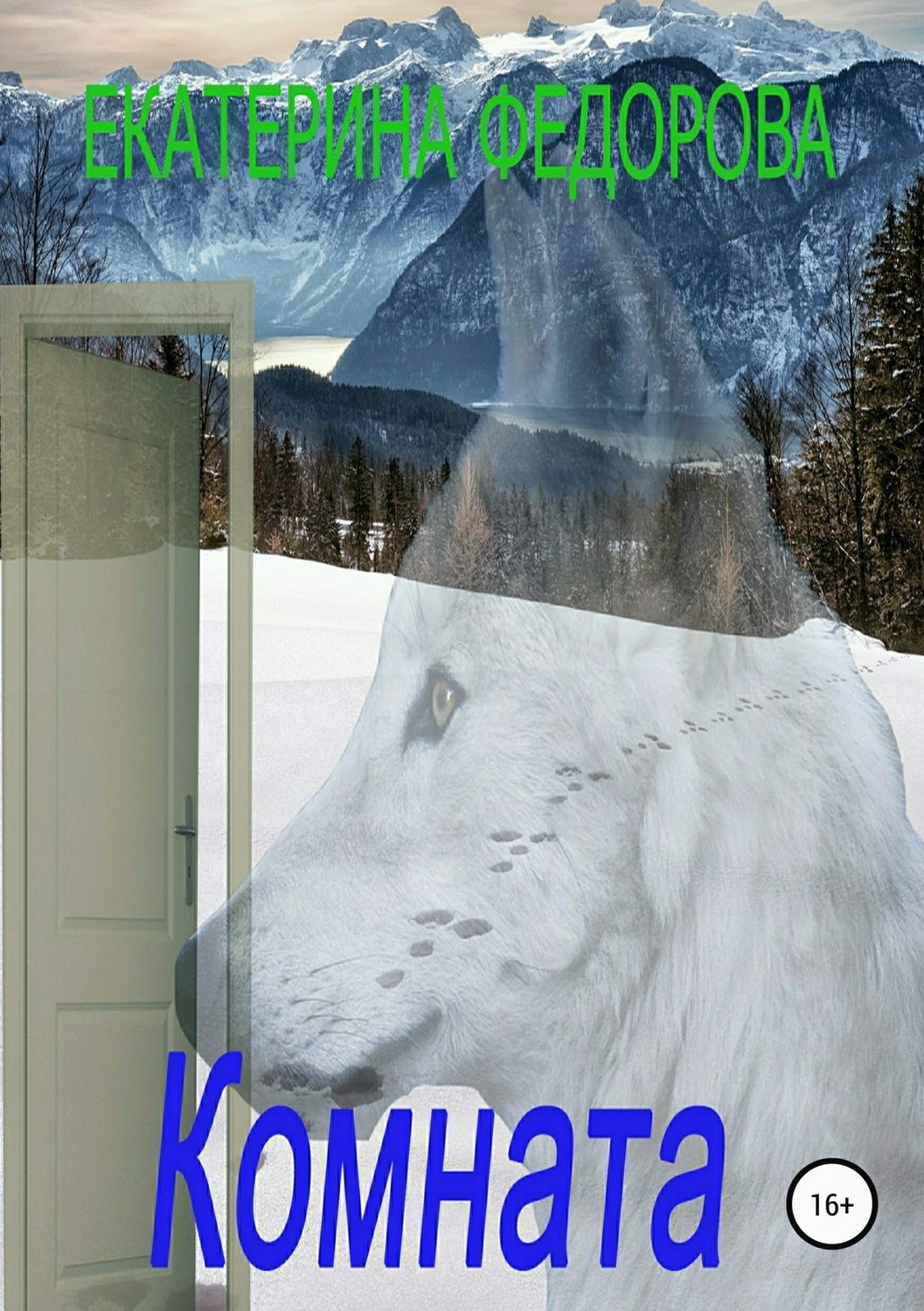 Обложка книги «Комната»