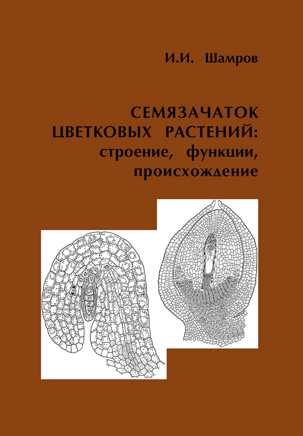 Обложка книги «Семязачаток цветковых растений: строение, функции, происхождение»