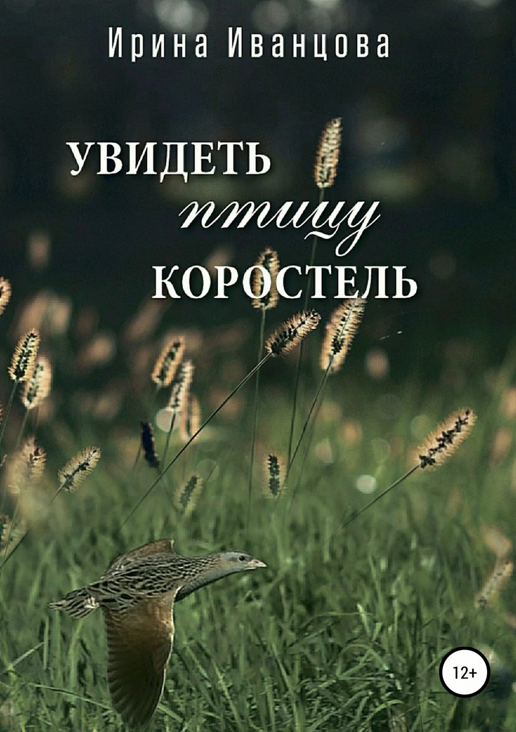 Обложка книги «Увидеть птицу коростель»