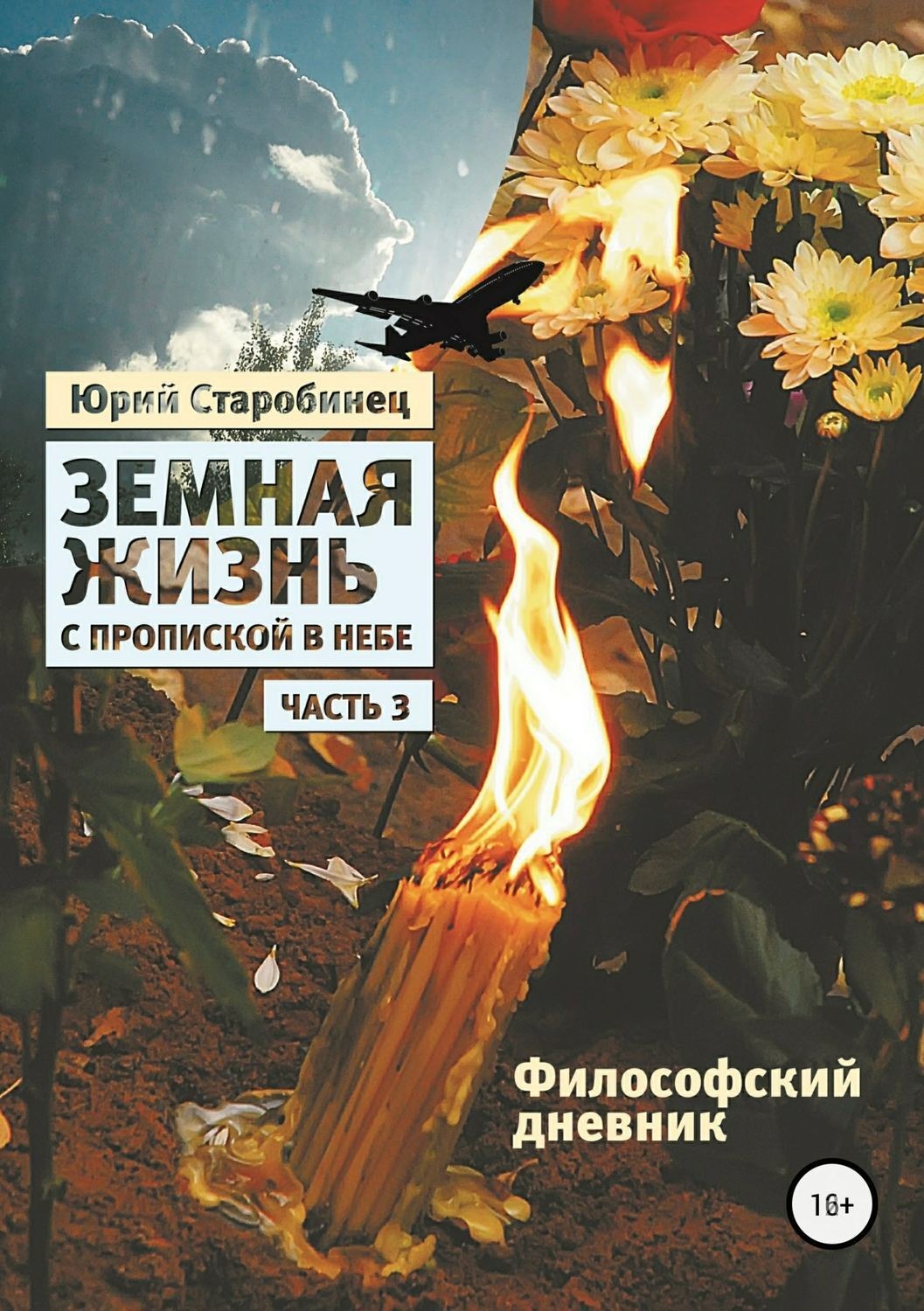 Обложка книги «Земная жизнь с пропиской в небе. Философский дневник. Книга третья»