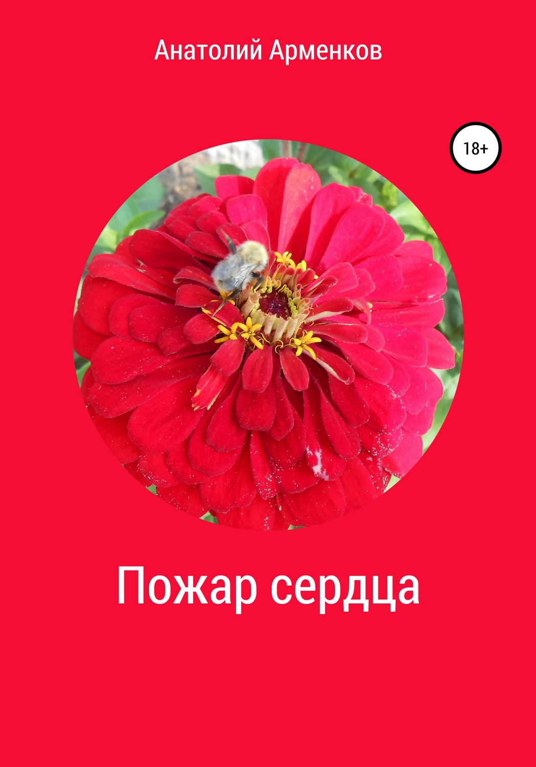 Обложка книги «Пожар сердца»