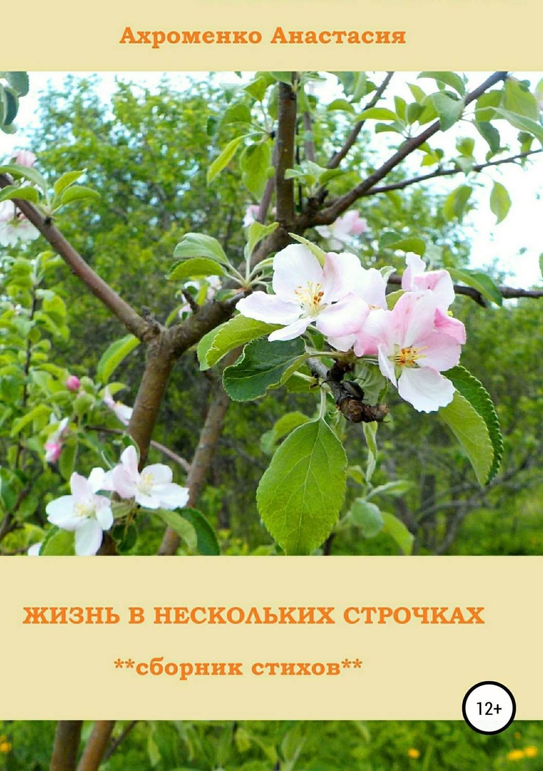 Обложка книги «Жизнь в нескольких строчках»