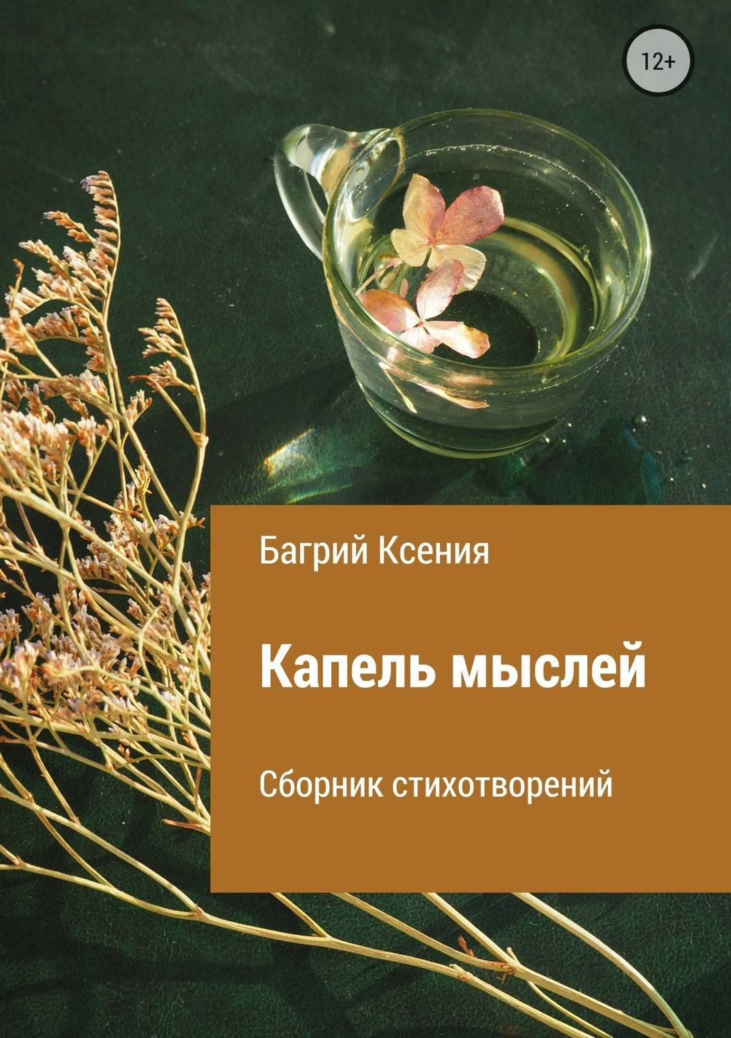 Обложка книги «Сборник стихотворений «Капель мыслей»»