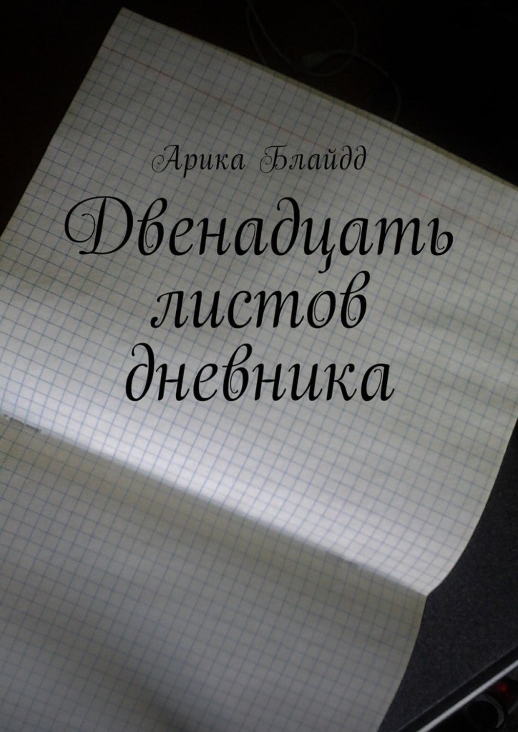 Обложка книги «Двенадцать листов дневника»
