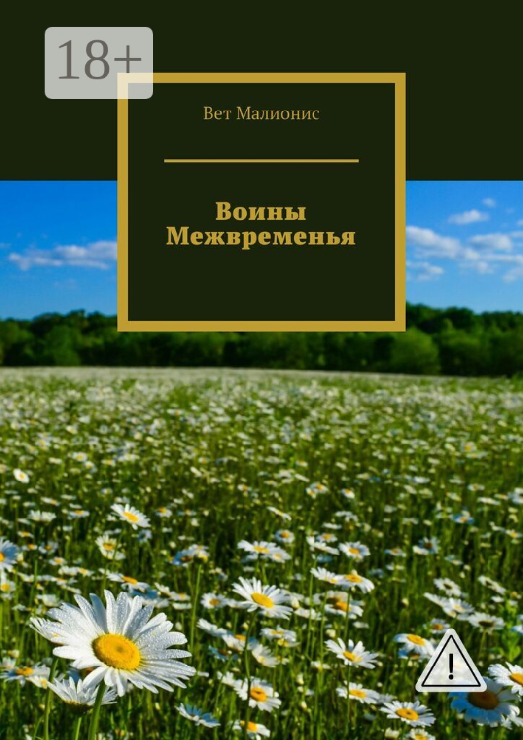 Обложка книги «Воины Межвременья»