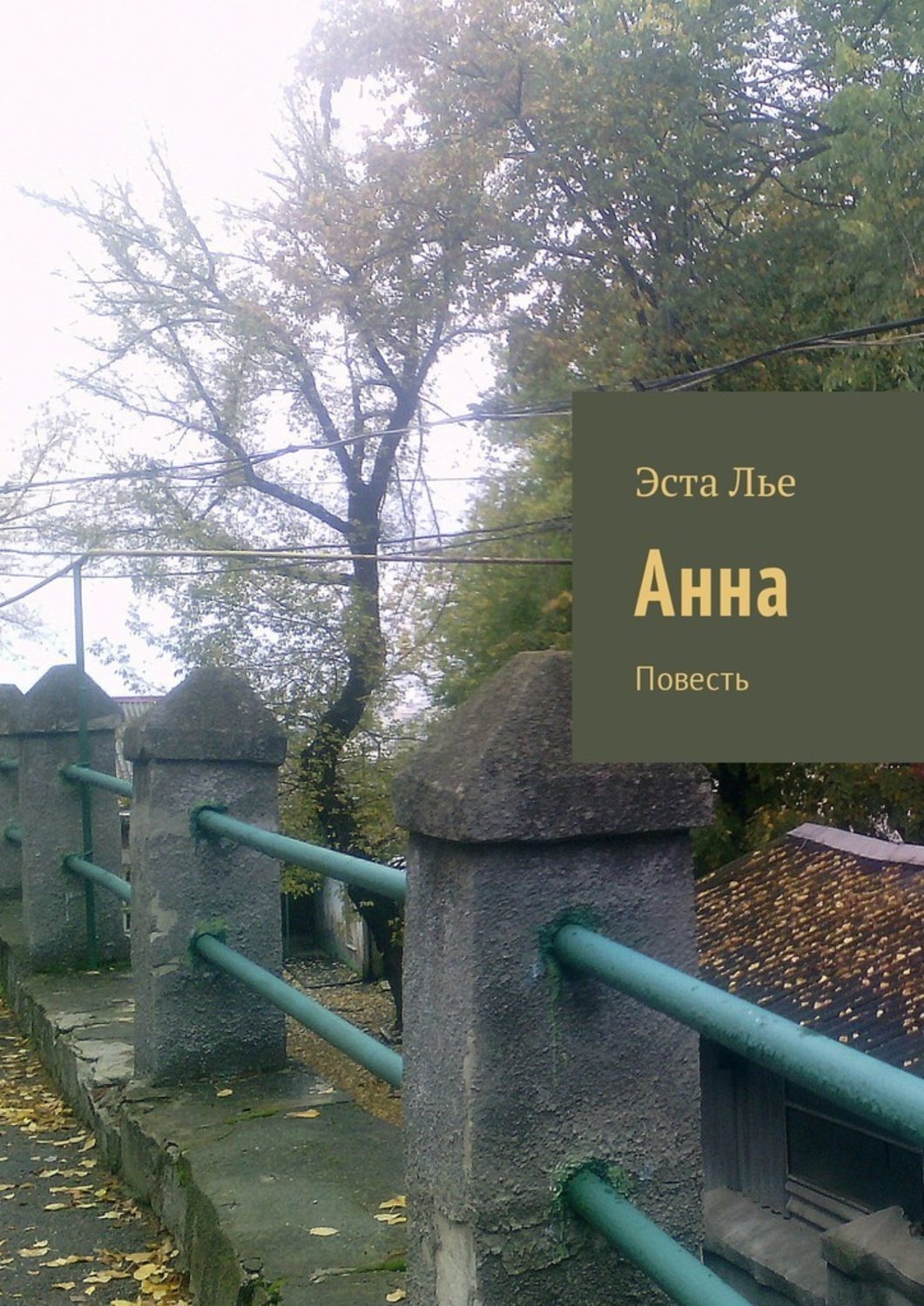 Обложка книги «Анна. Повесть»