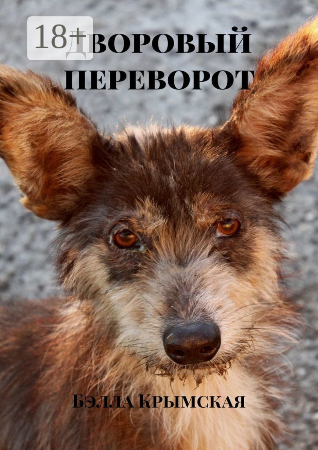 Обложка книги «Дворовый переворот»