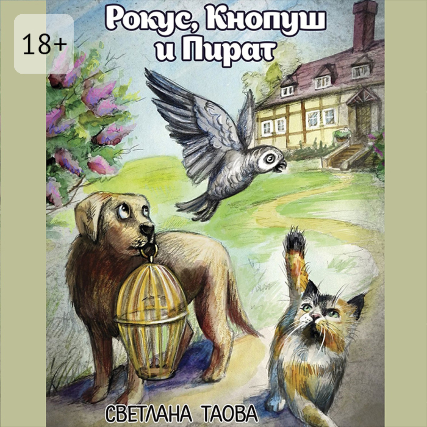 Обложка книги «Рокус, Кнопуш и Пират»