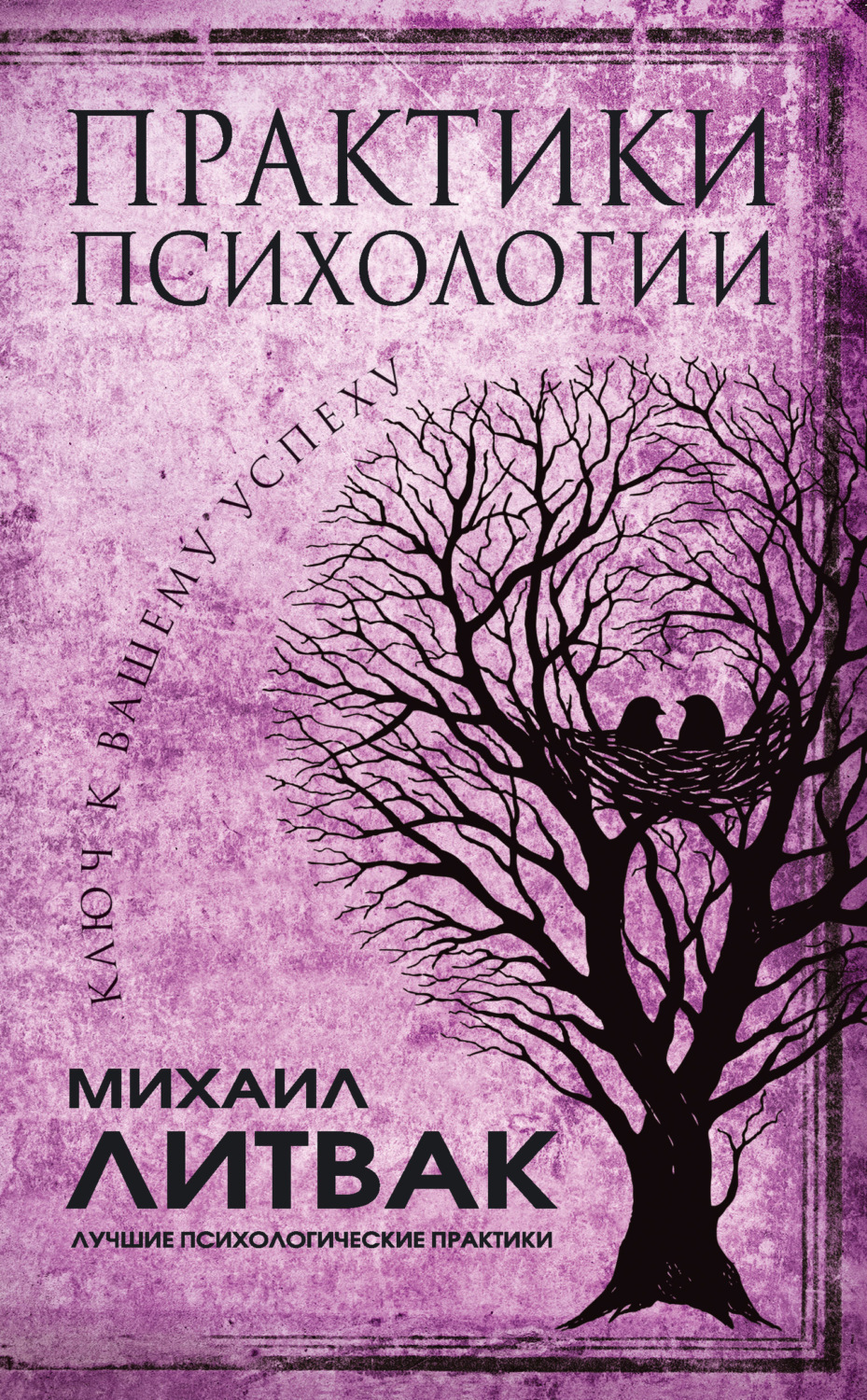 Обложка книги «Практики психологии. Ключ к вашему успеху»