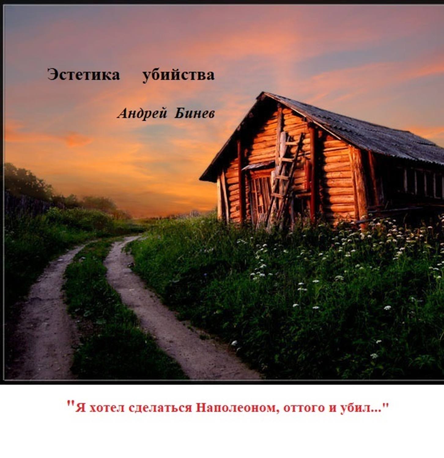 Обложка книги «Эстетика убийства»