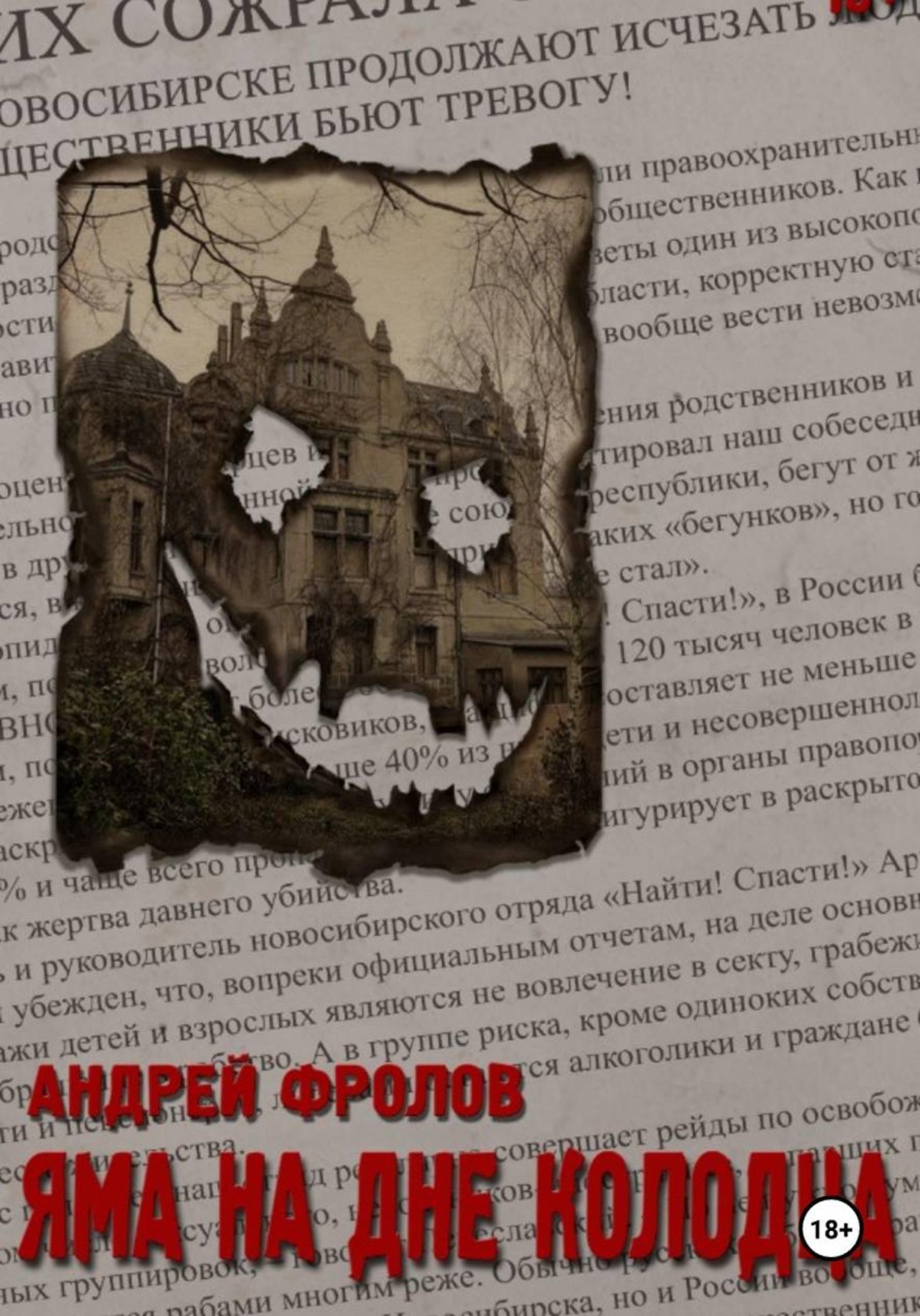 Обложка книги «Яма на дне колодца»