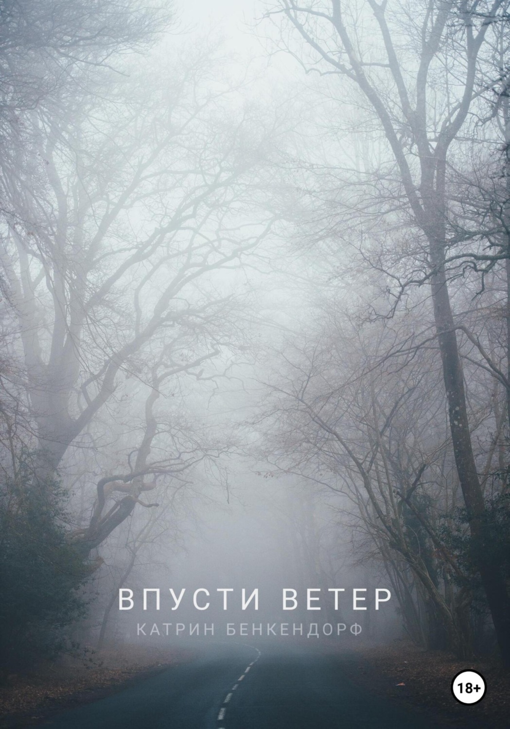 Обложка книги «Впусти ветер»