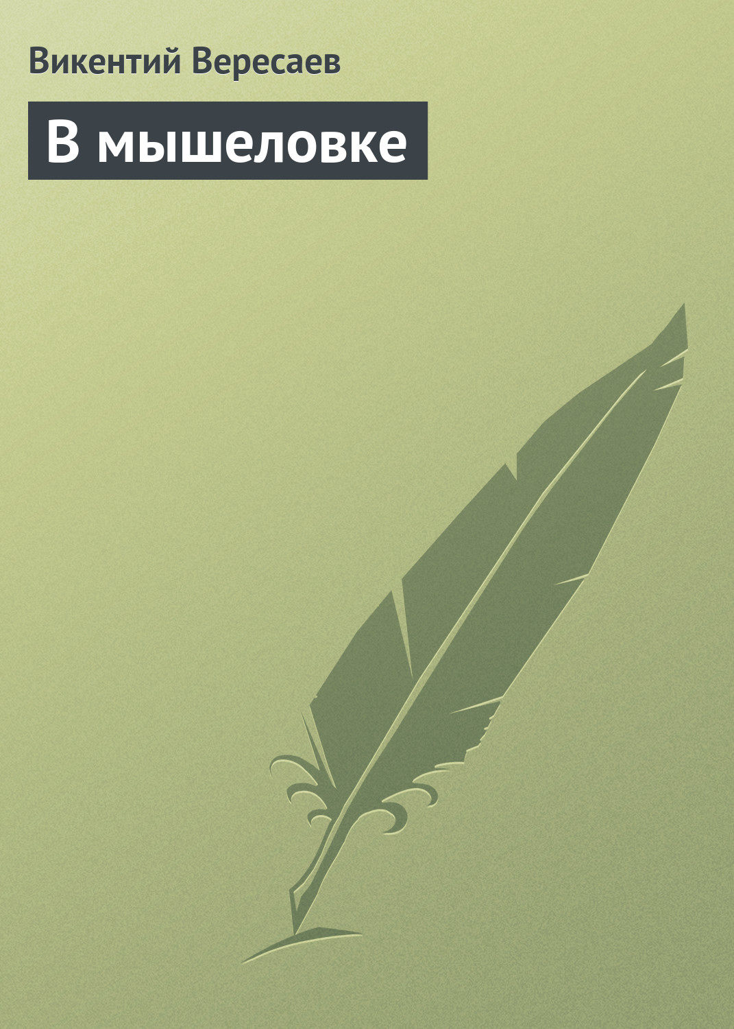 Обложка книги «В мышеловке»