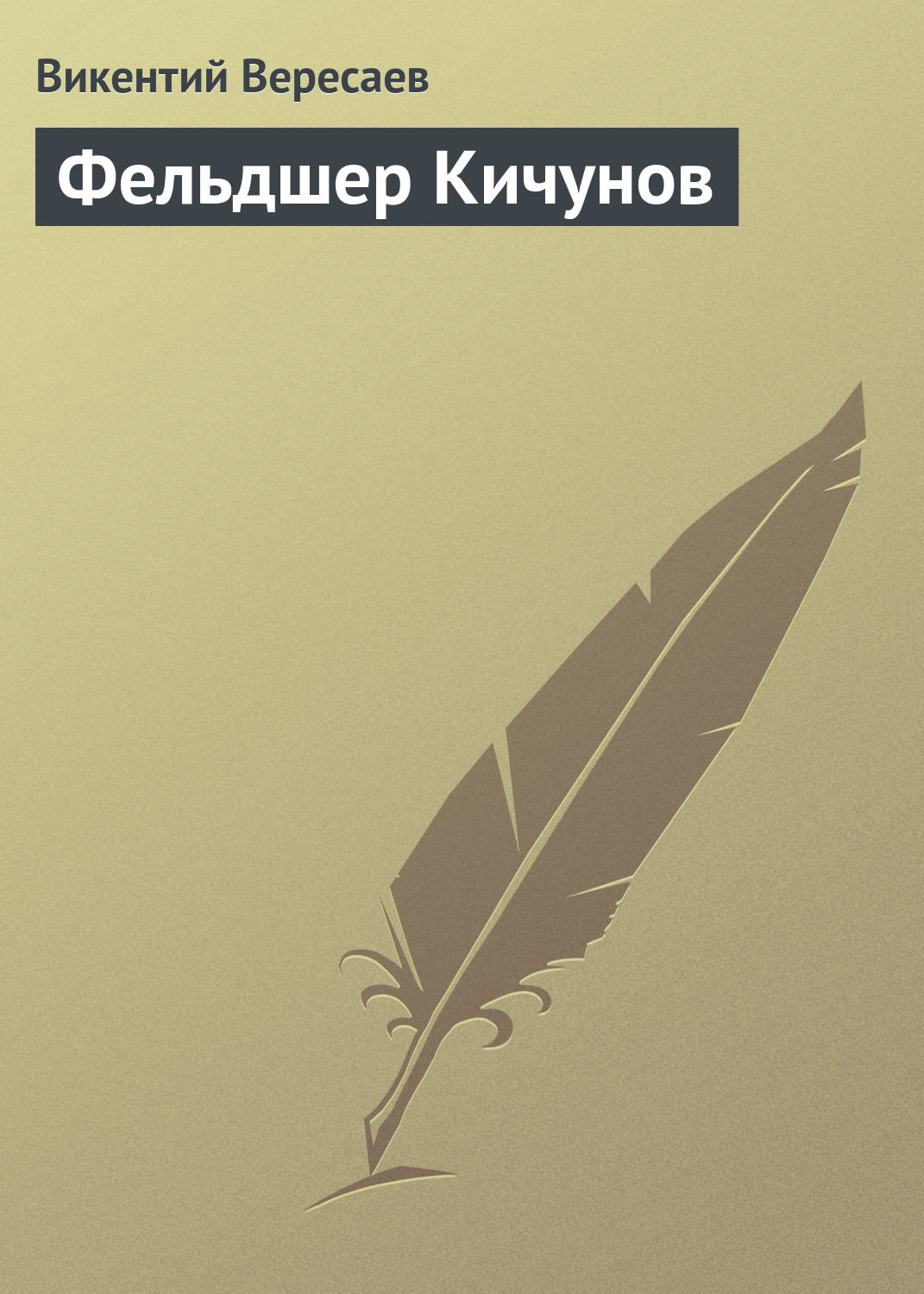 Обложка книги «Фельдшер Кичунов»