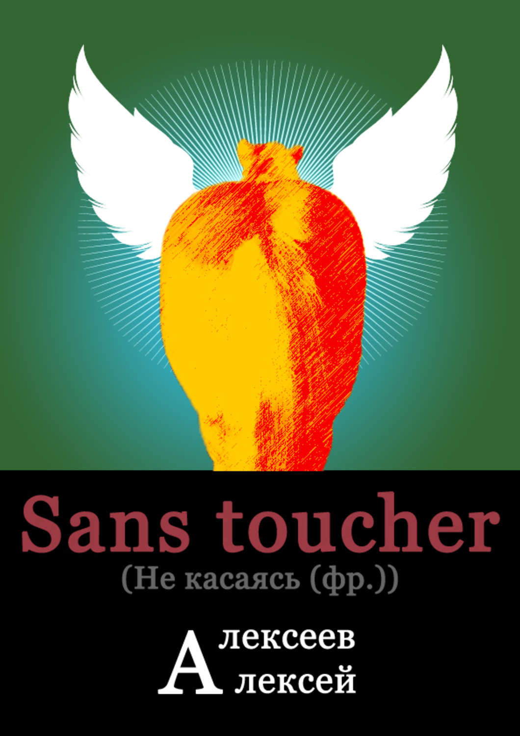 Обложка книги «Sans toucher (Не касаясь)»