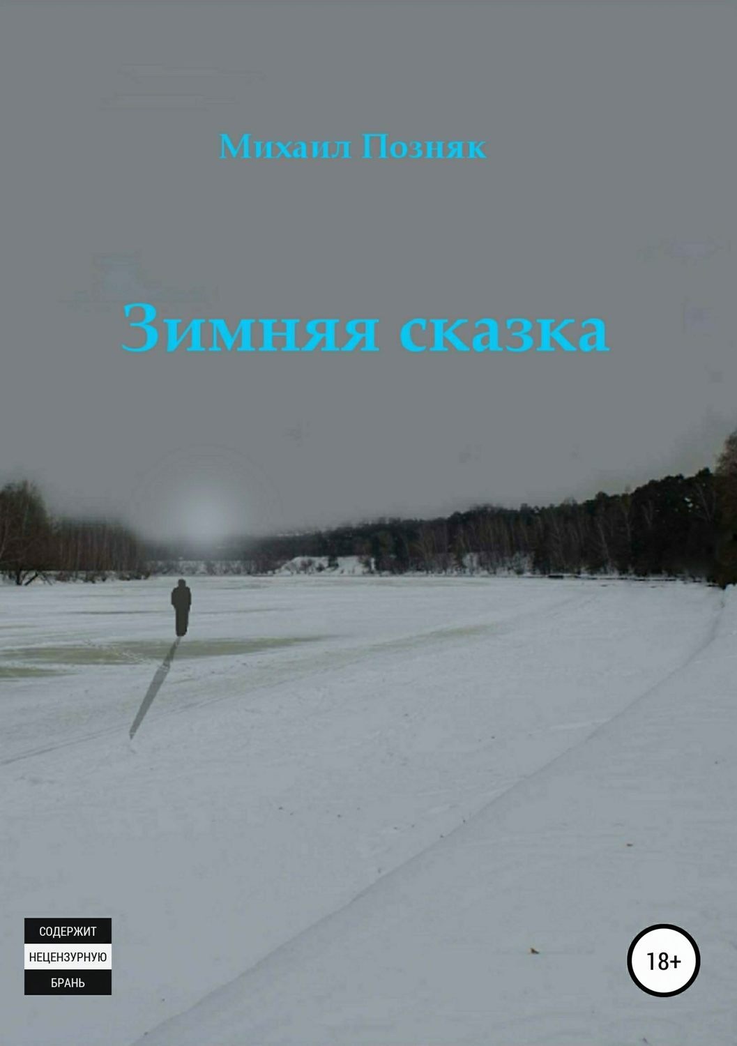 Обложка книги «Зимняя сказка»