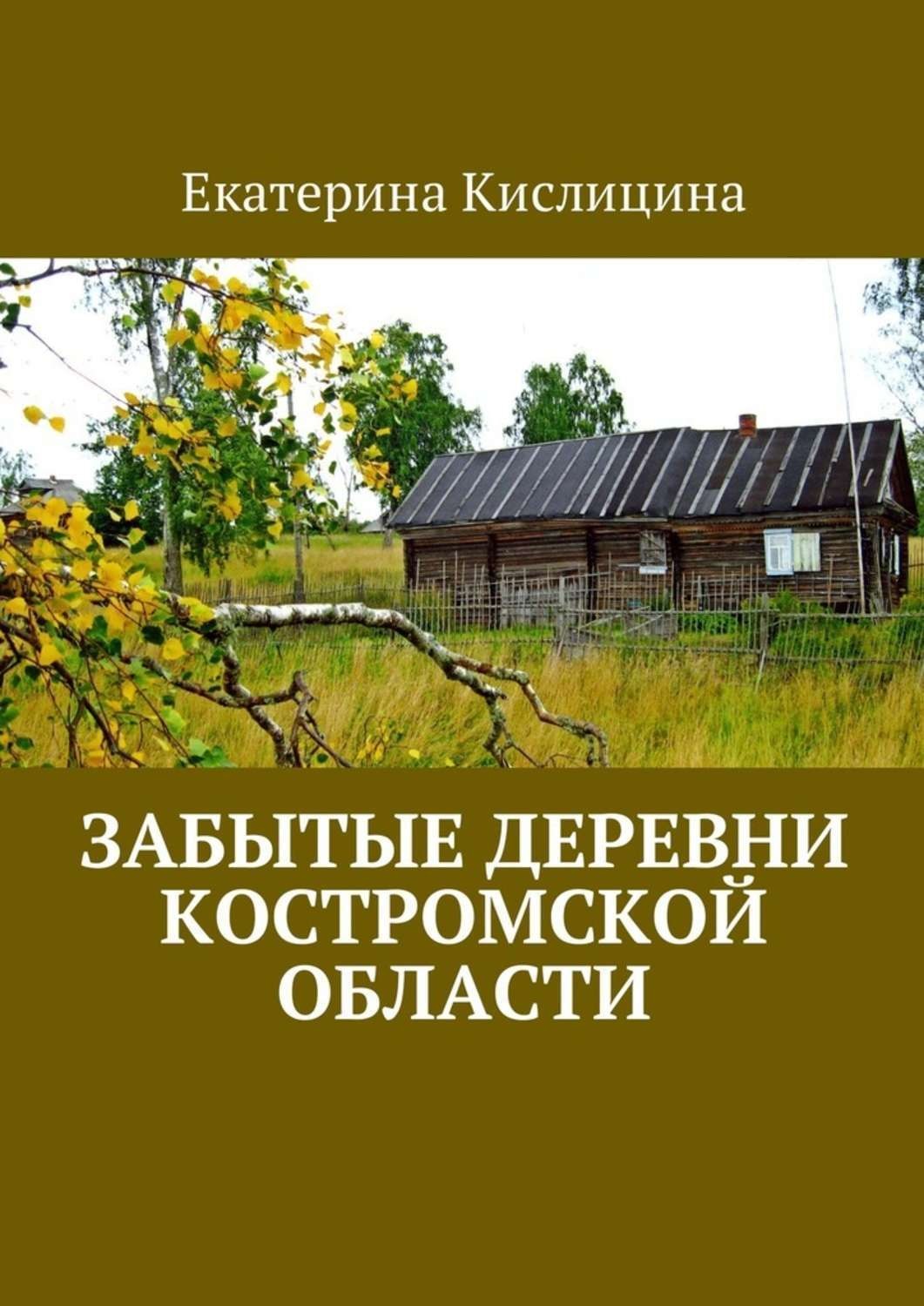 Обложка книги «Забытые деревни Костромской области»