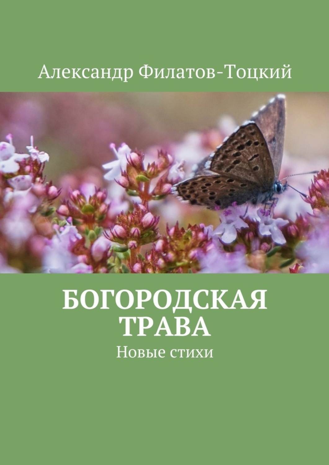 Обложка книги «Богородская трава. Новые стихи»