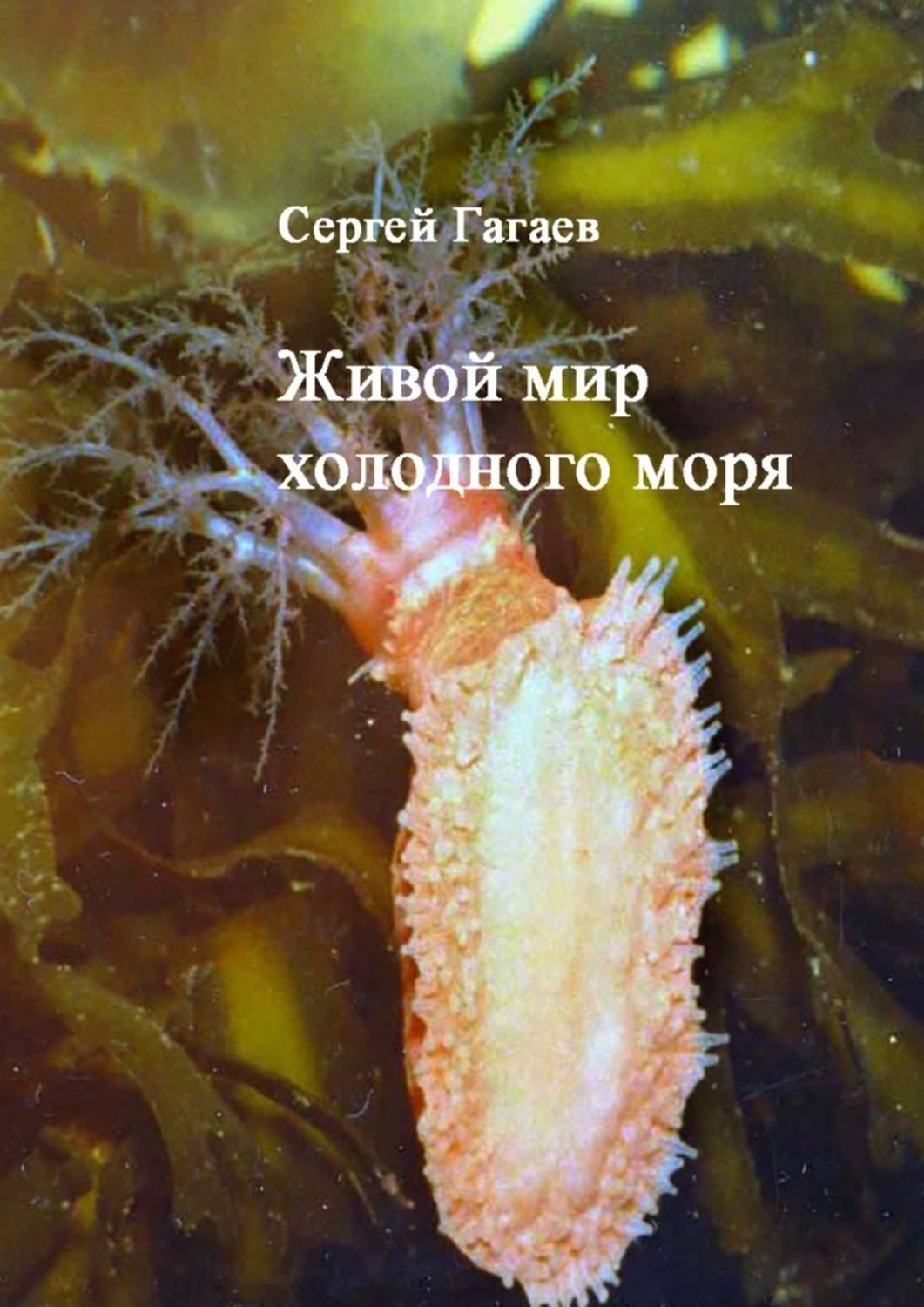 Обложка книги «Живой мир холодного моря»