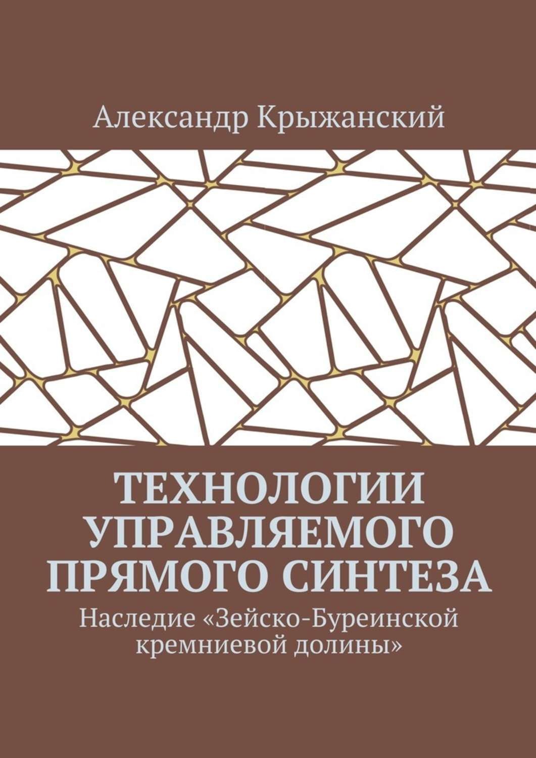 Обложка книги «Технологии управляемого прямого синтеза. Наследие «Зейско-Буреинской кремниевой долины»»