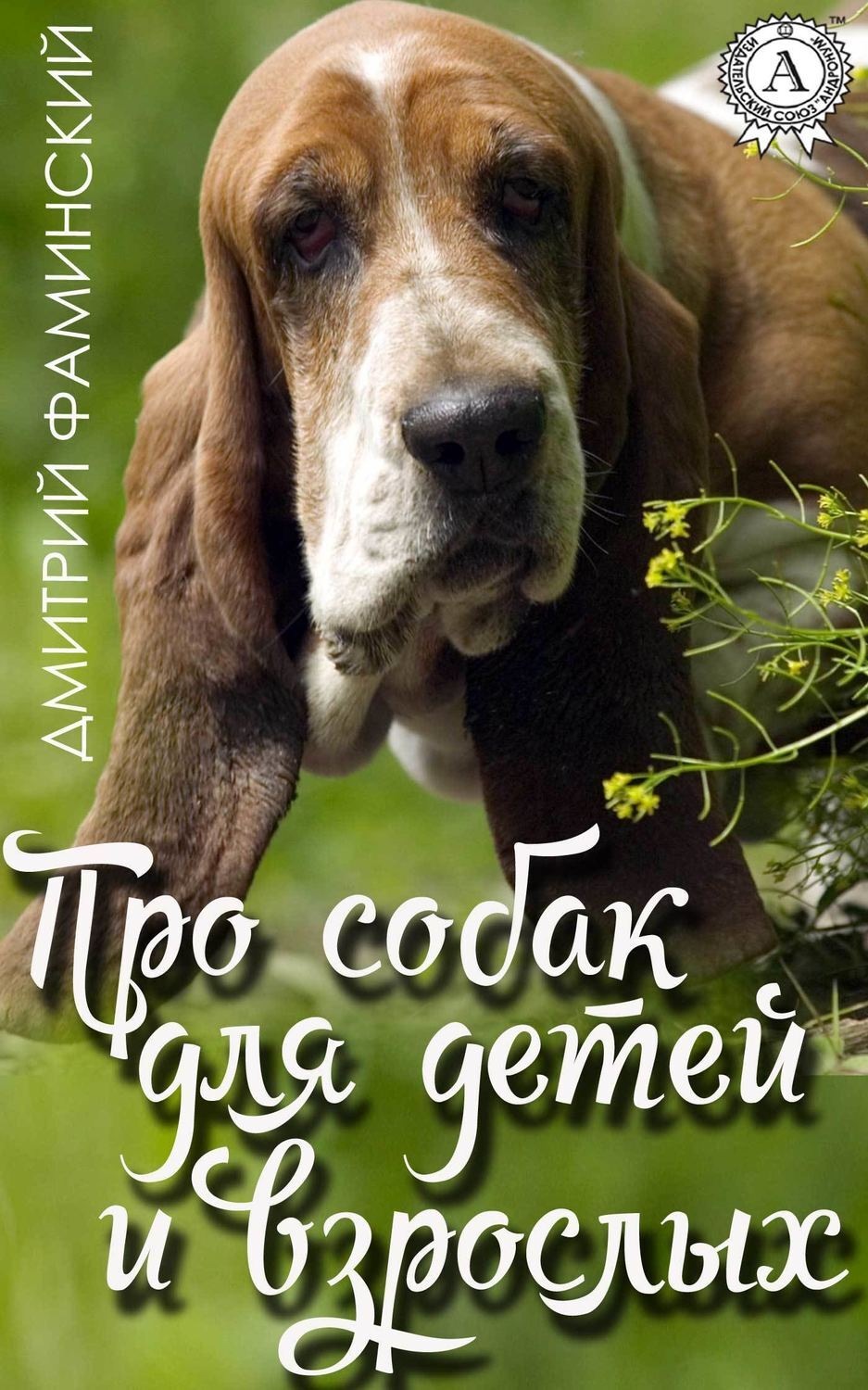 Обложка книги «Про собак для детей и взрослых»