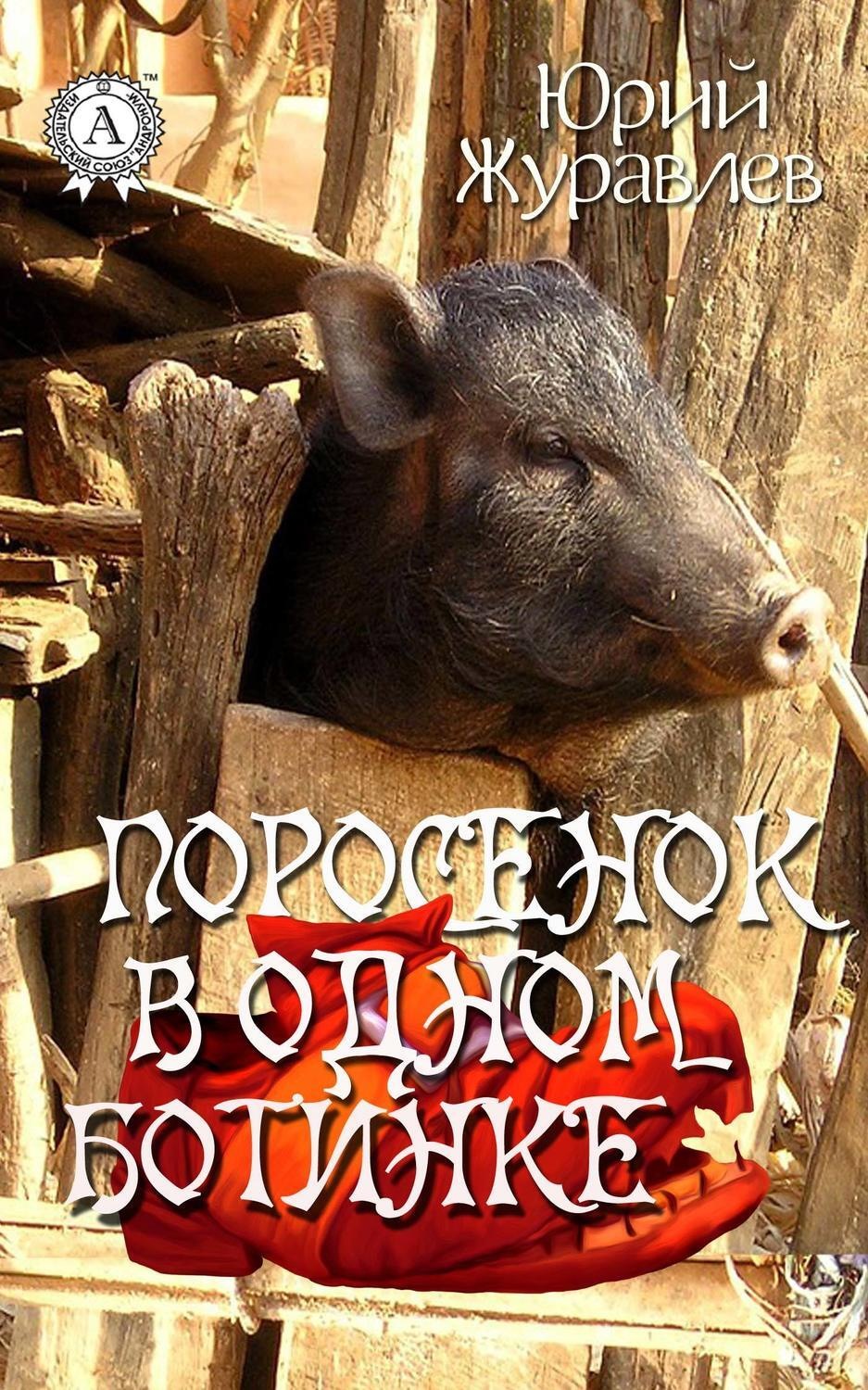 Обложка книги «Поросенок в одном ботинке»