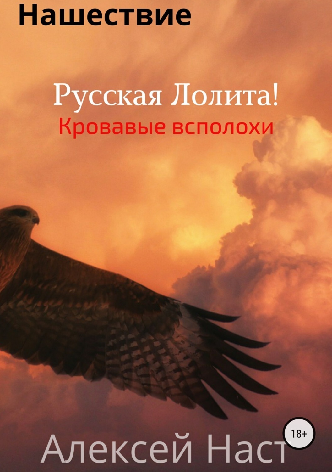 Обложка книги «Русская Лолита! Кровавые всполохи»