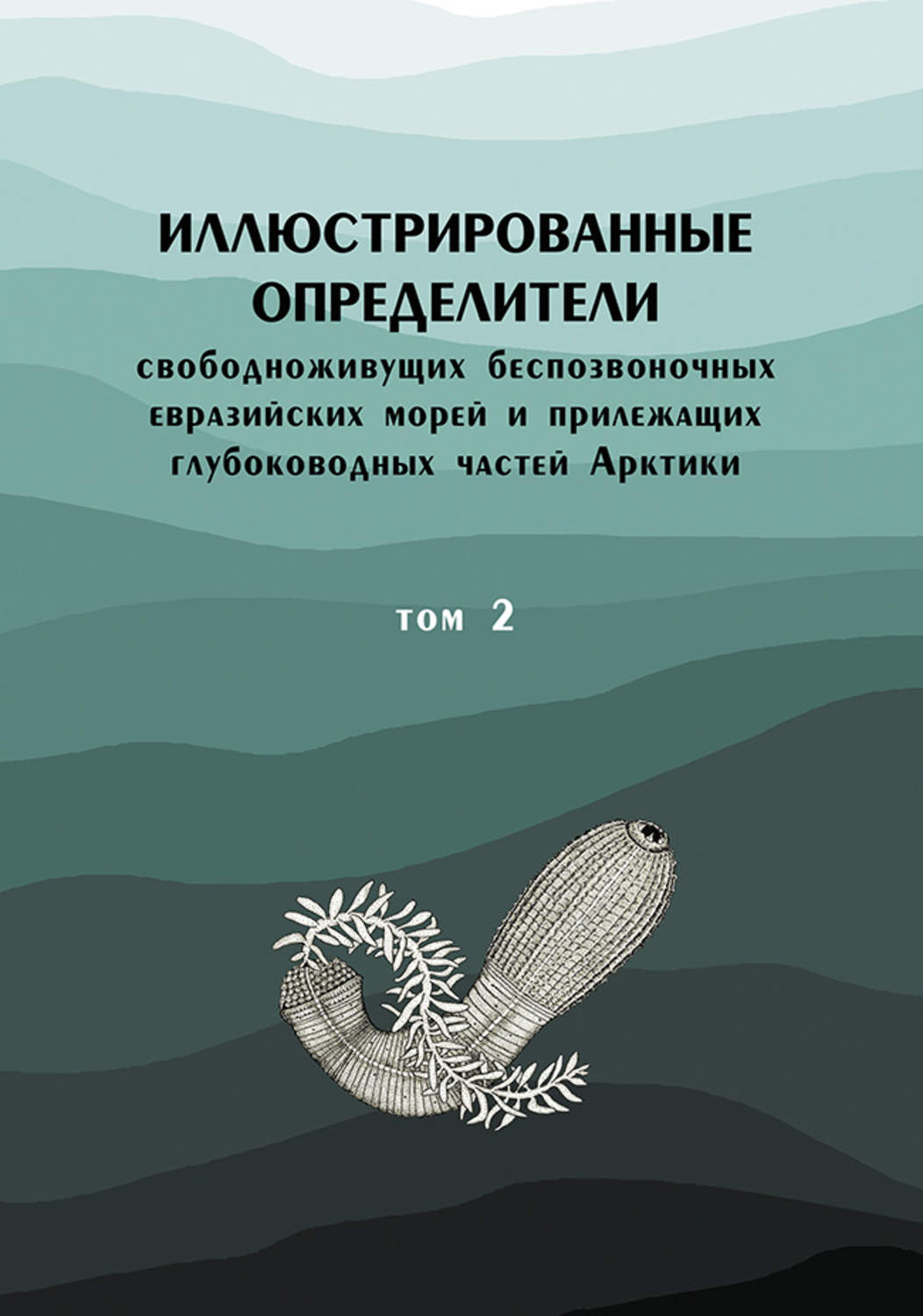 Обложка книги «Иллюстрированные определители свободноживущих беспозвоночных евразийских морей и прилежащих глубоководных частей Арктики. Том 2»