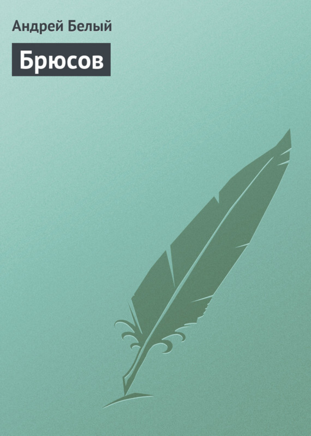 Обложка книги «Брюсов»