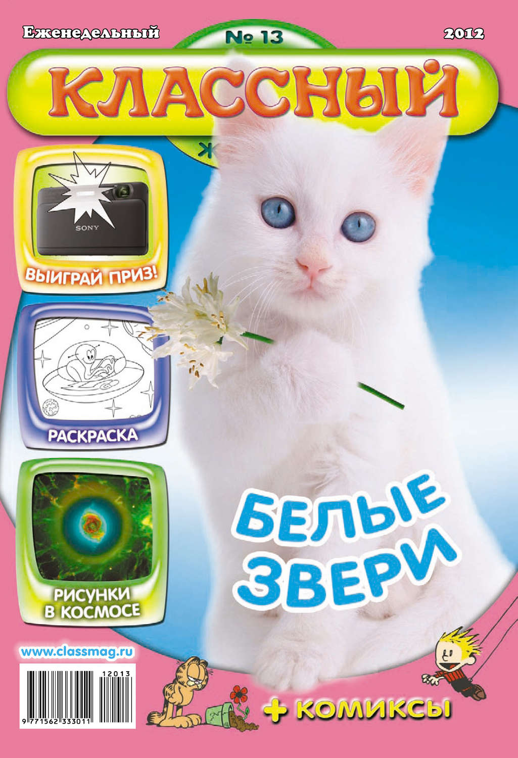 Обложка книги «Классный журнал №13/2012»