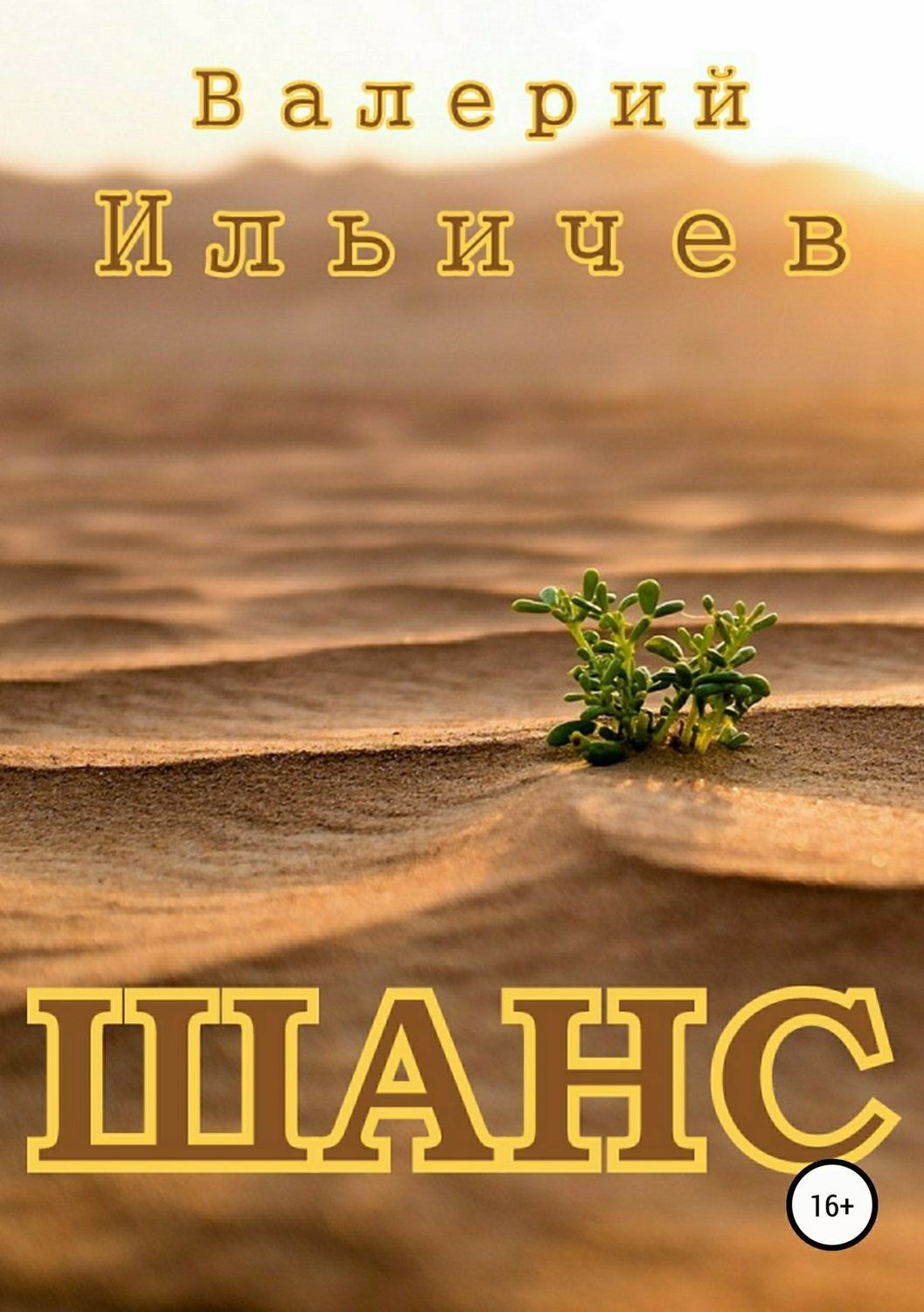 Обложка книги «Шанс»