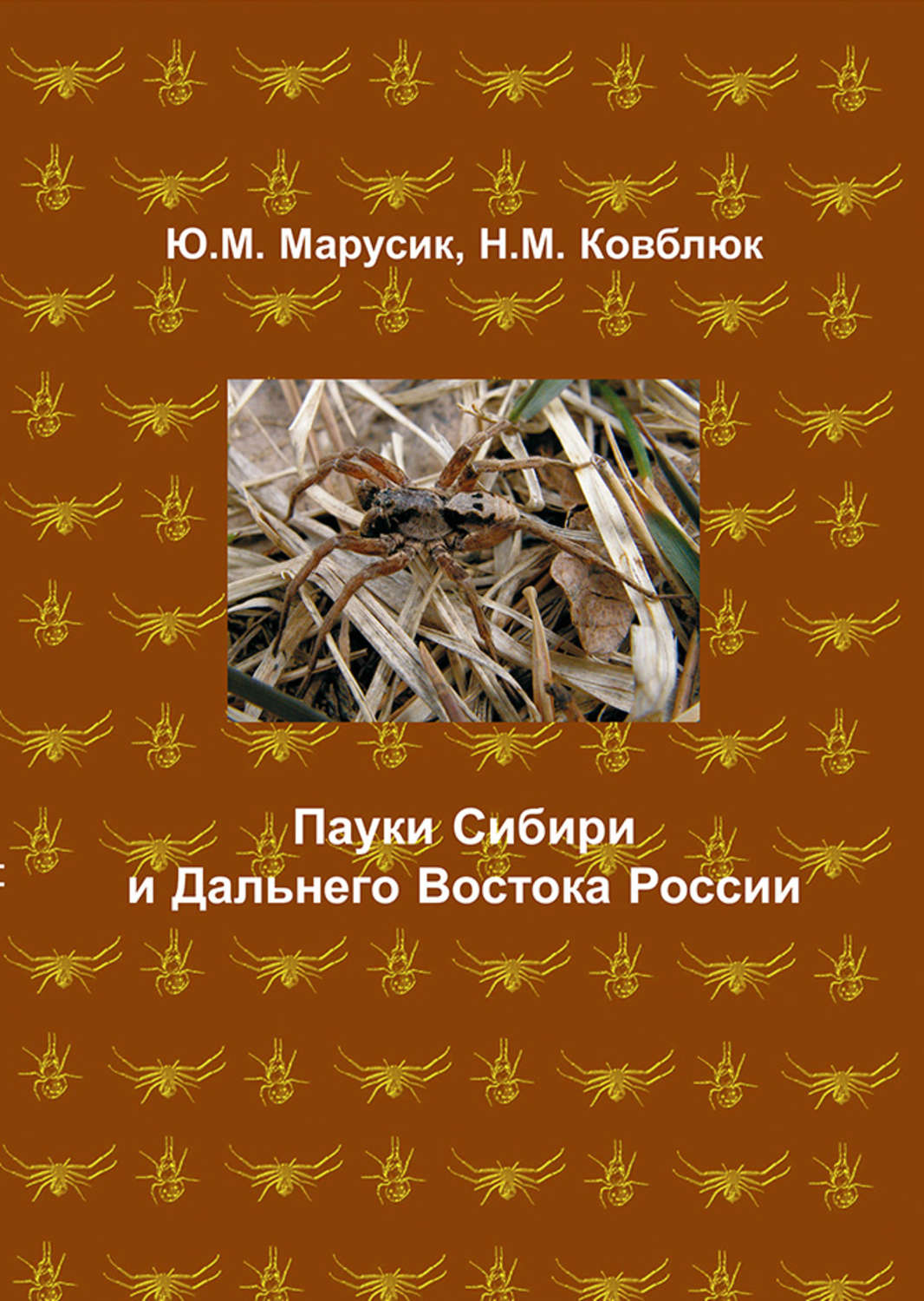 Обложка книги «Пауки Сибири и Дальнего Востока России»
