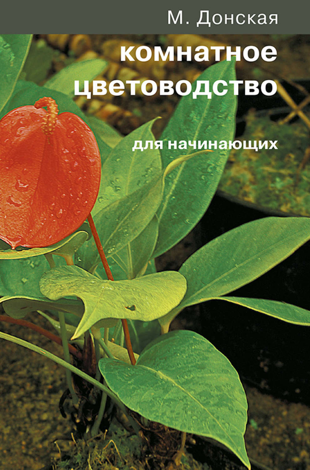 Обложка книги «Комнатное цветоводство для начинающих»