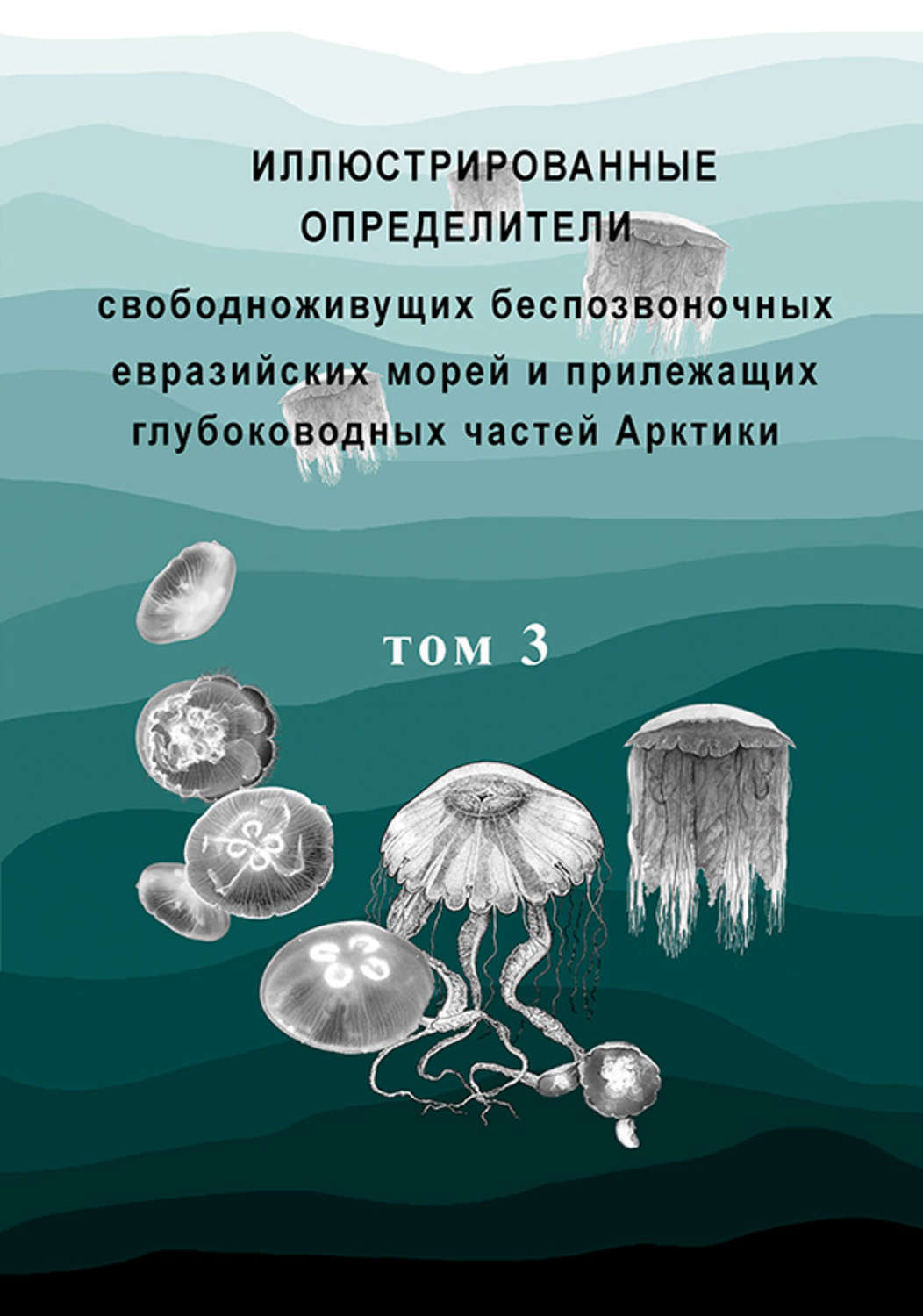 Обложка книги «Иллюстрированные определители свободноживущих беспозвоночных евразийских морей и прилежащих глубоководных частей Арктики. Том 3»