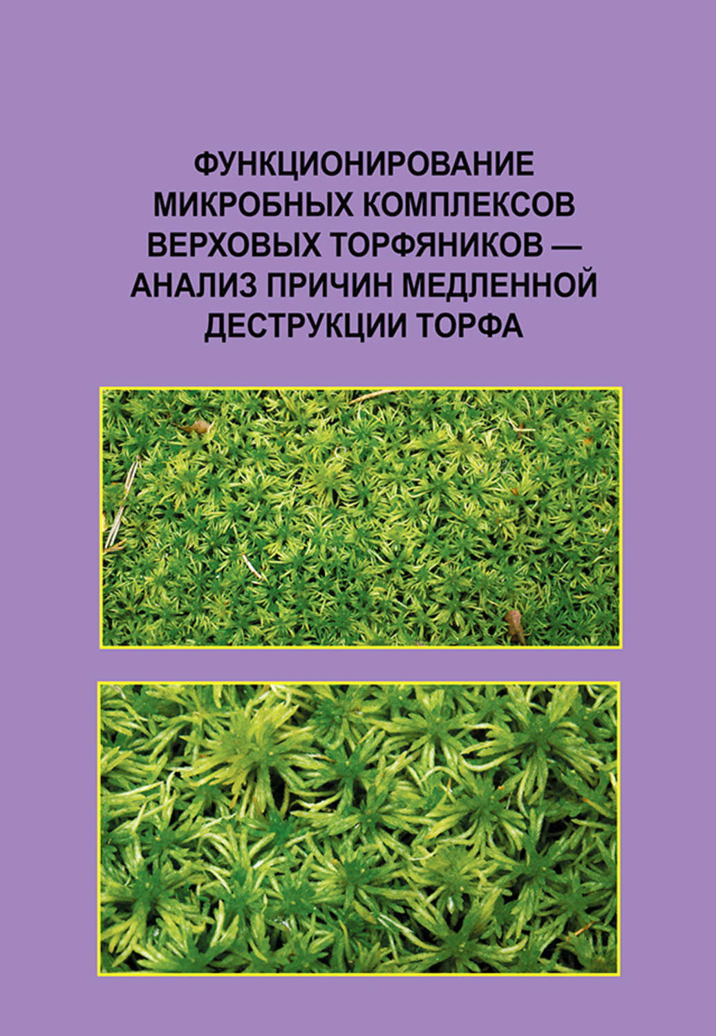Обложка книги «Функционирование микробных комплексов верховых торфяников – анализ причин медленной деструкции торфа»