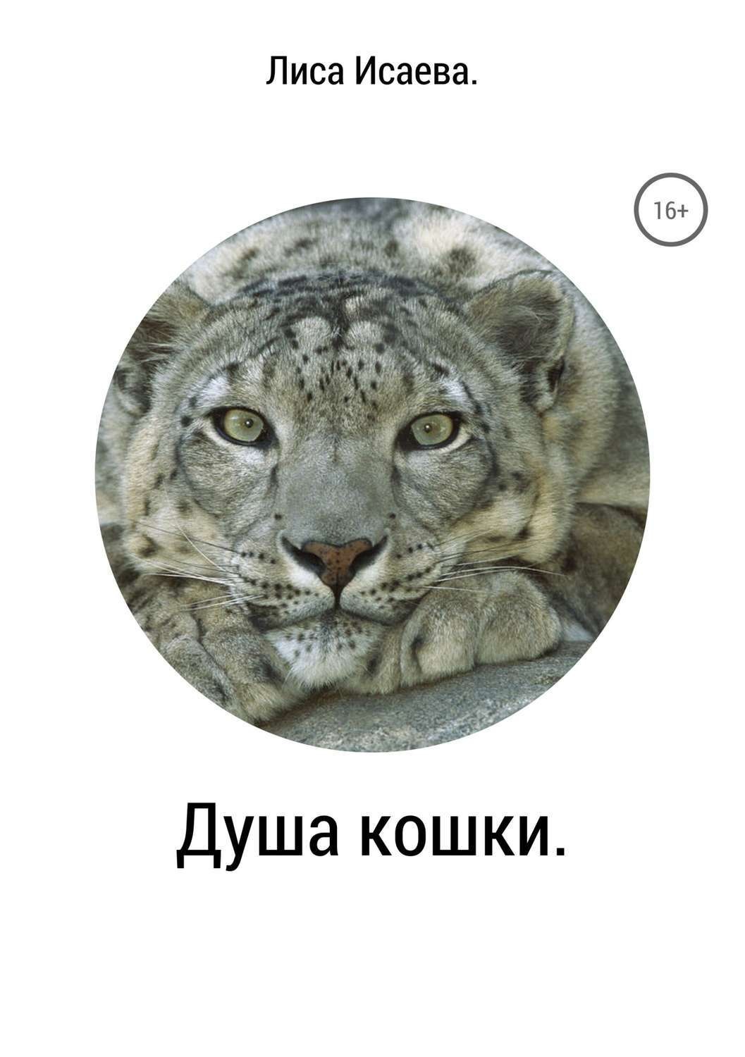 Обложка книги «Душа кошки»