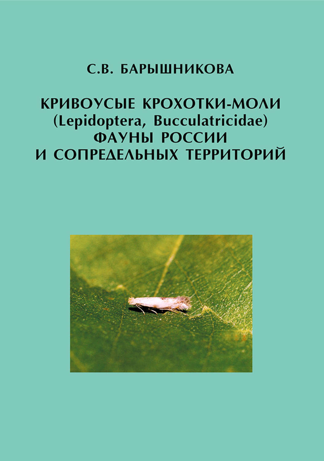 Обложка книги «Кривоусые крохотки-моли (Lepidoptera, Bucculatricidae) фауны России и сопредельных территорий»