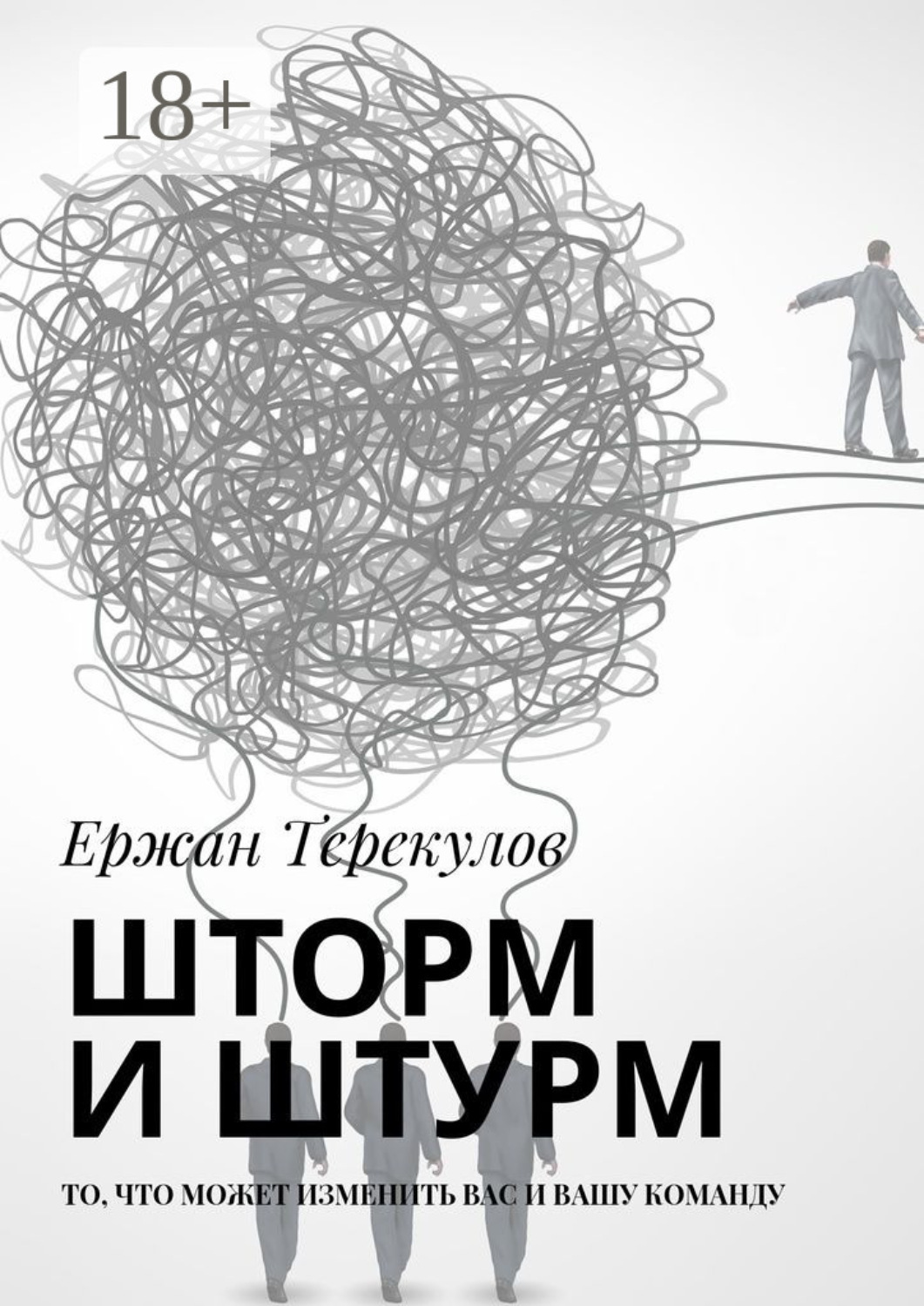 Обложка книги «Шторм и штурм. То, что может изменить вас и вашу команду»