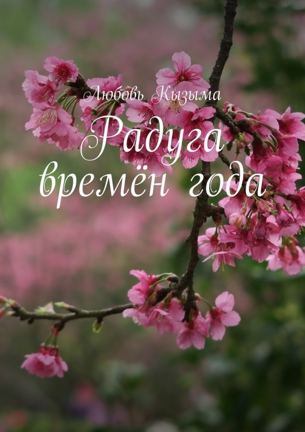 Обложка книги «Радуга времён года»