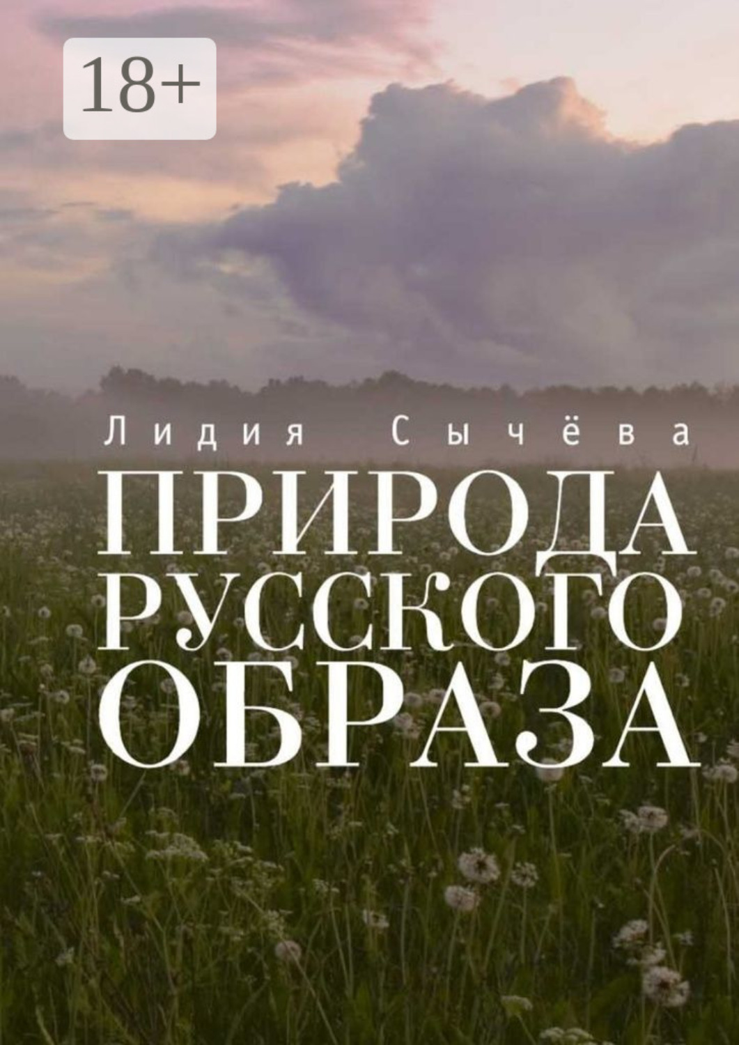 Обложка книги «Природа русского образа»