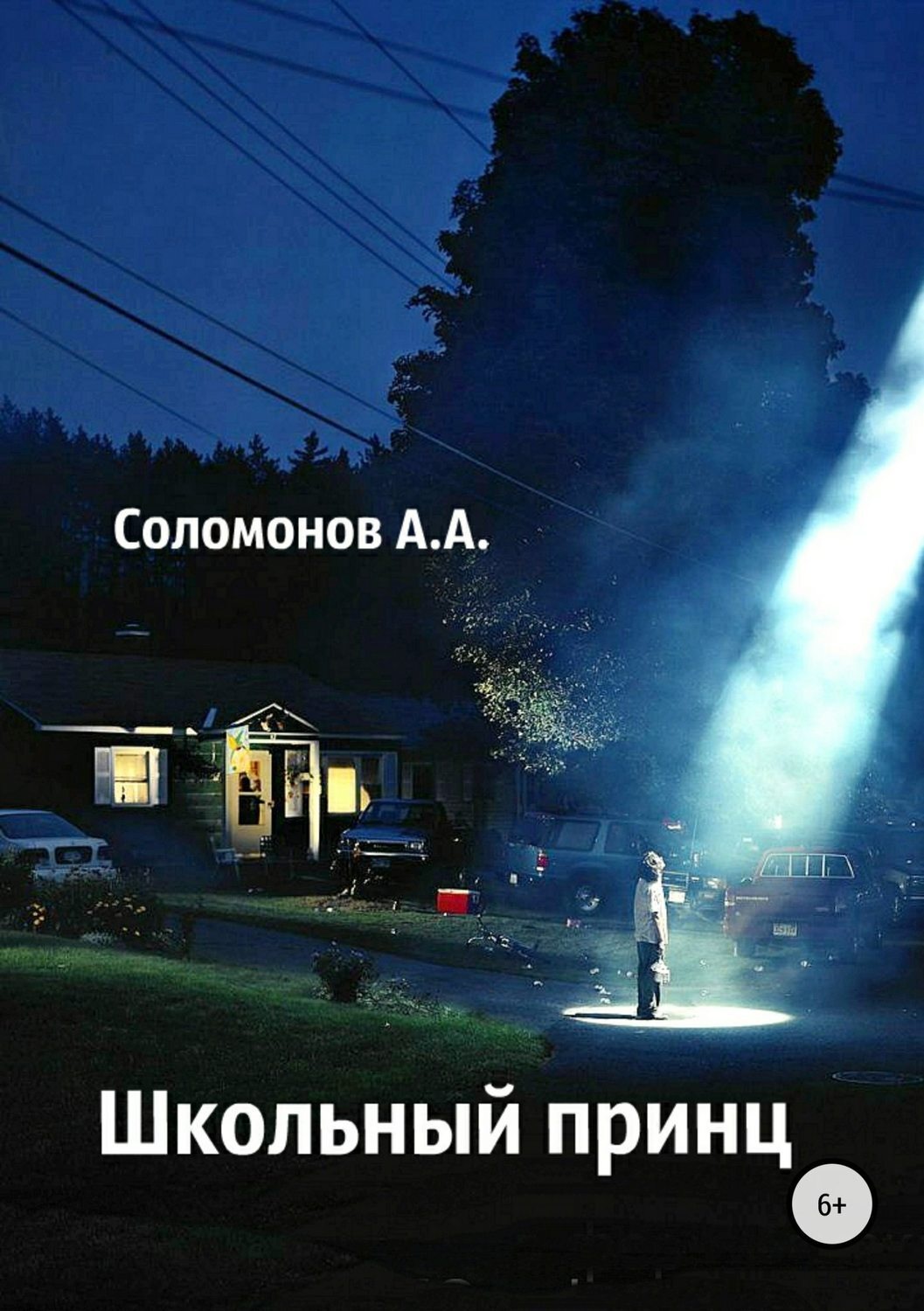 Обложка книги «Школьный принц»