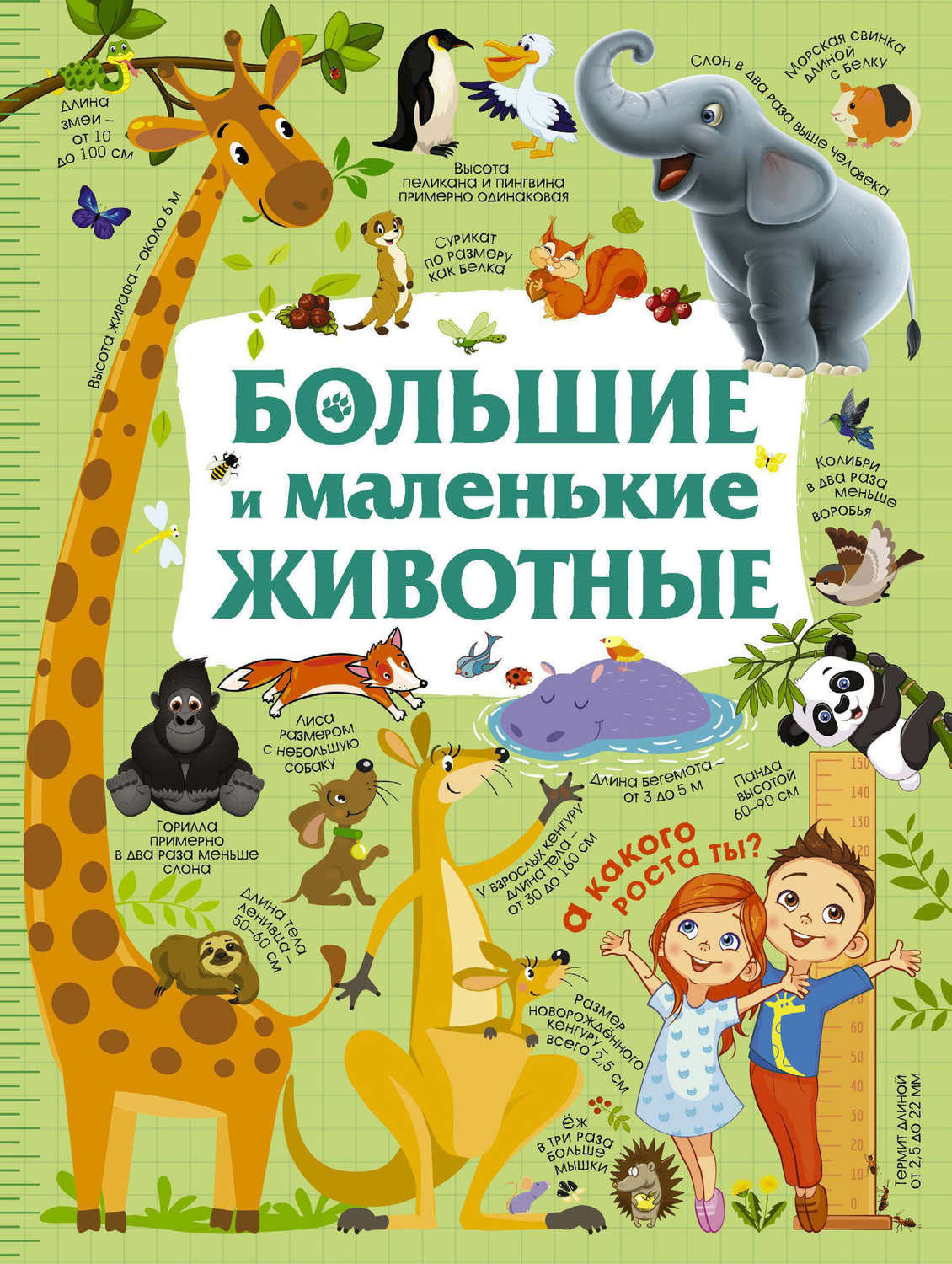 Обложка книги «Большие и маленькие животные»