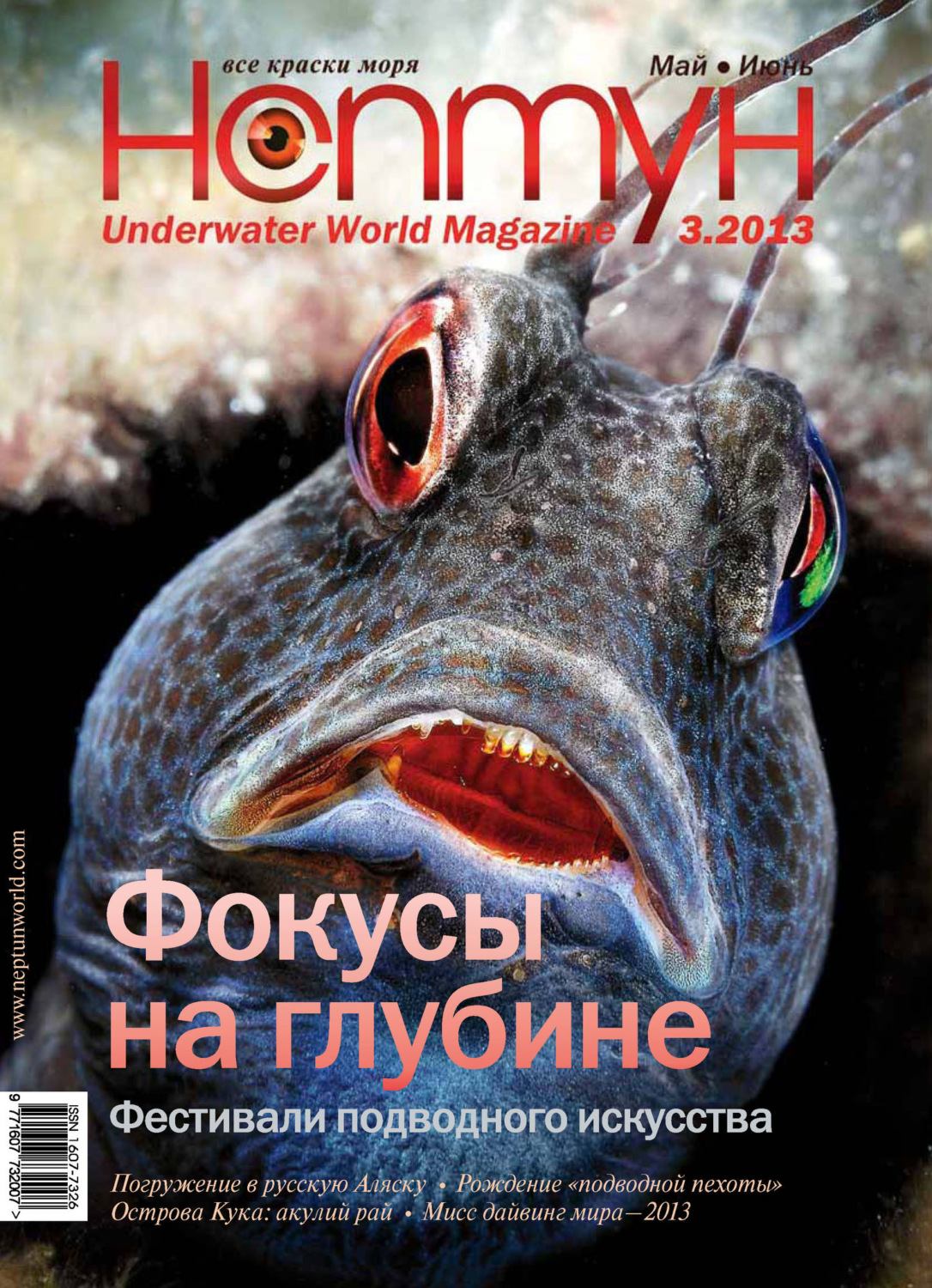Обложка книги «Нептун №3/2013»