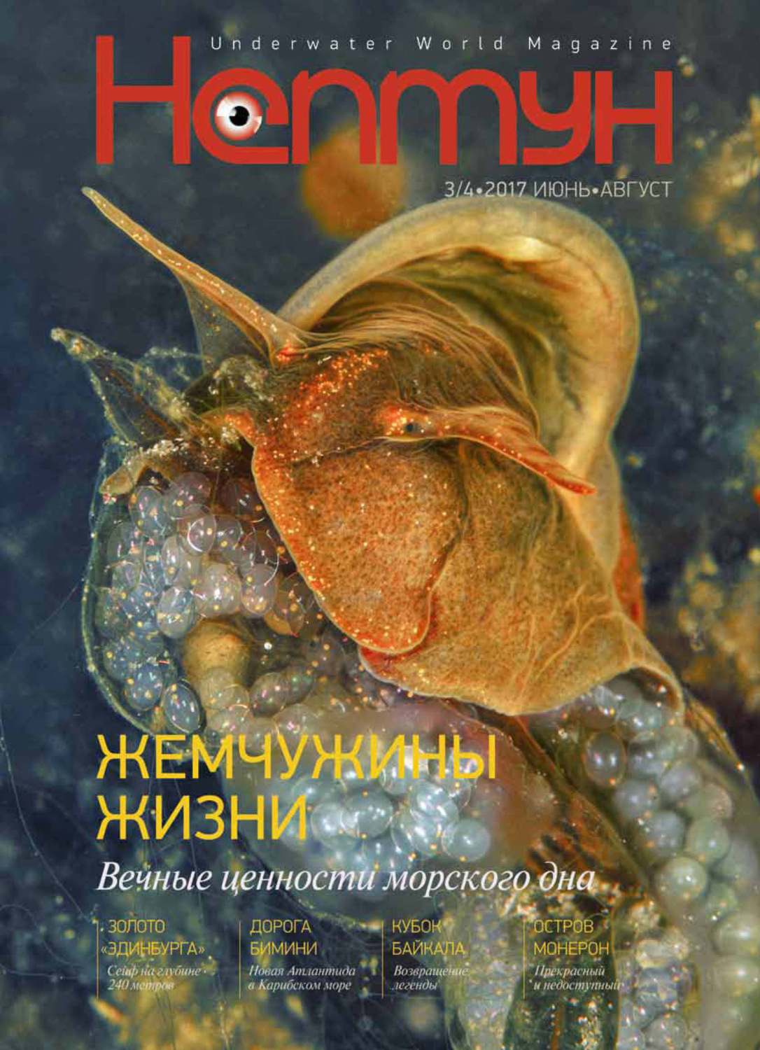 Обложка книги «Нептун №3-4/2017»