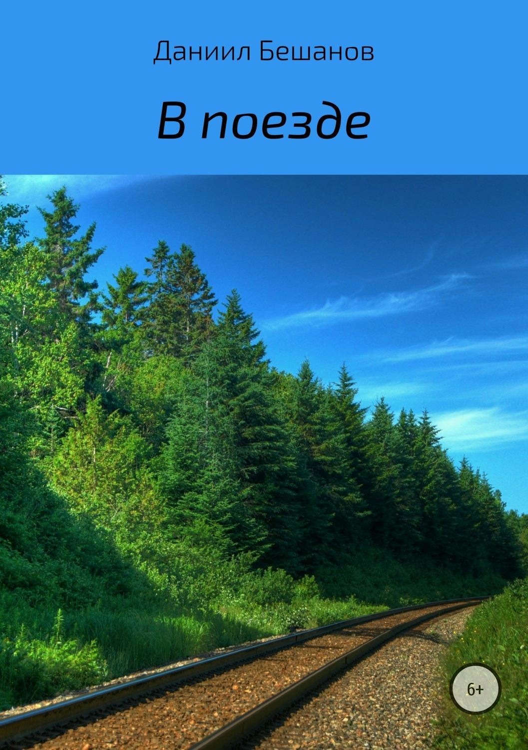 Обложка книги «В поезде»