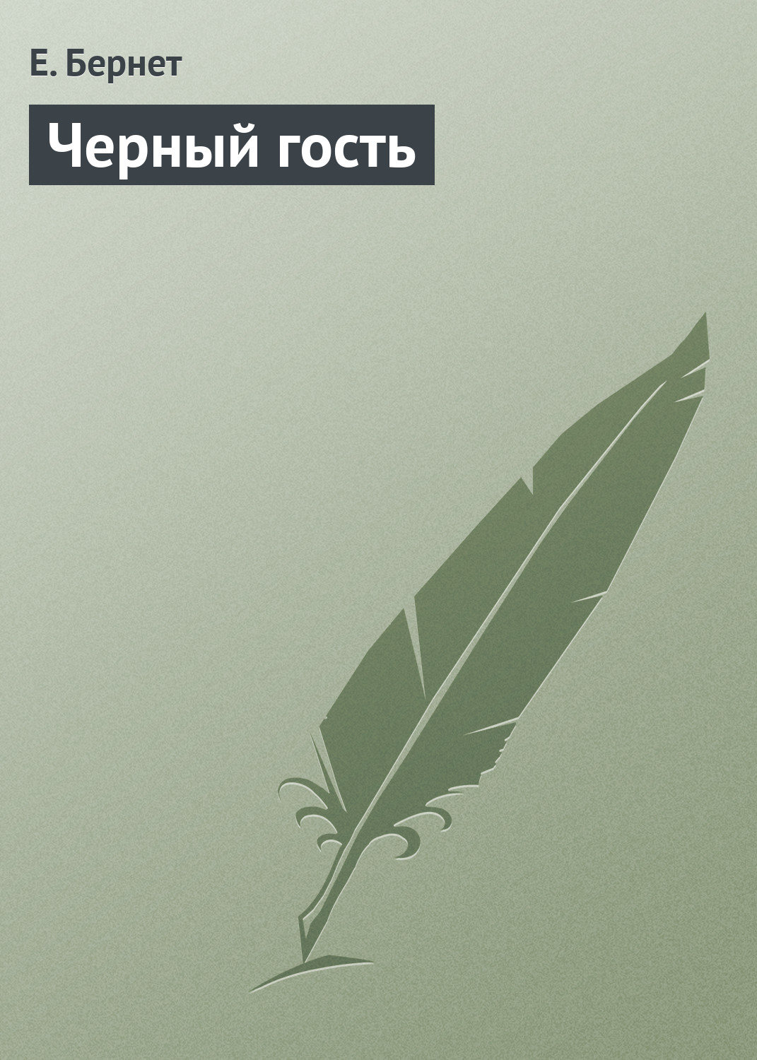 Обложка книги «Черный гость»