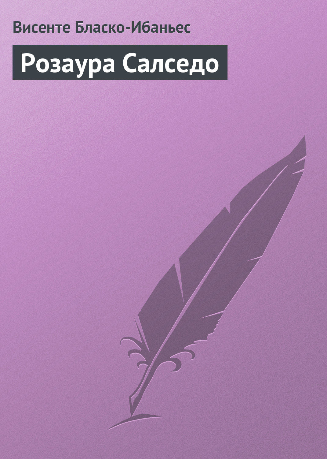 Обложка книги «Розаура Салседо»